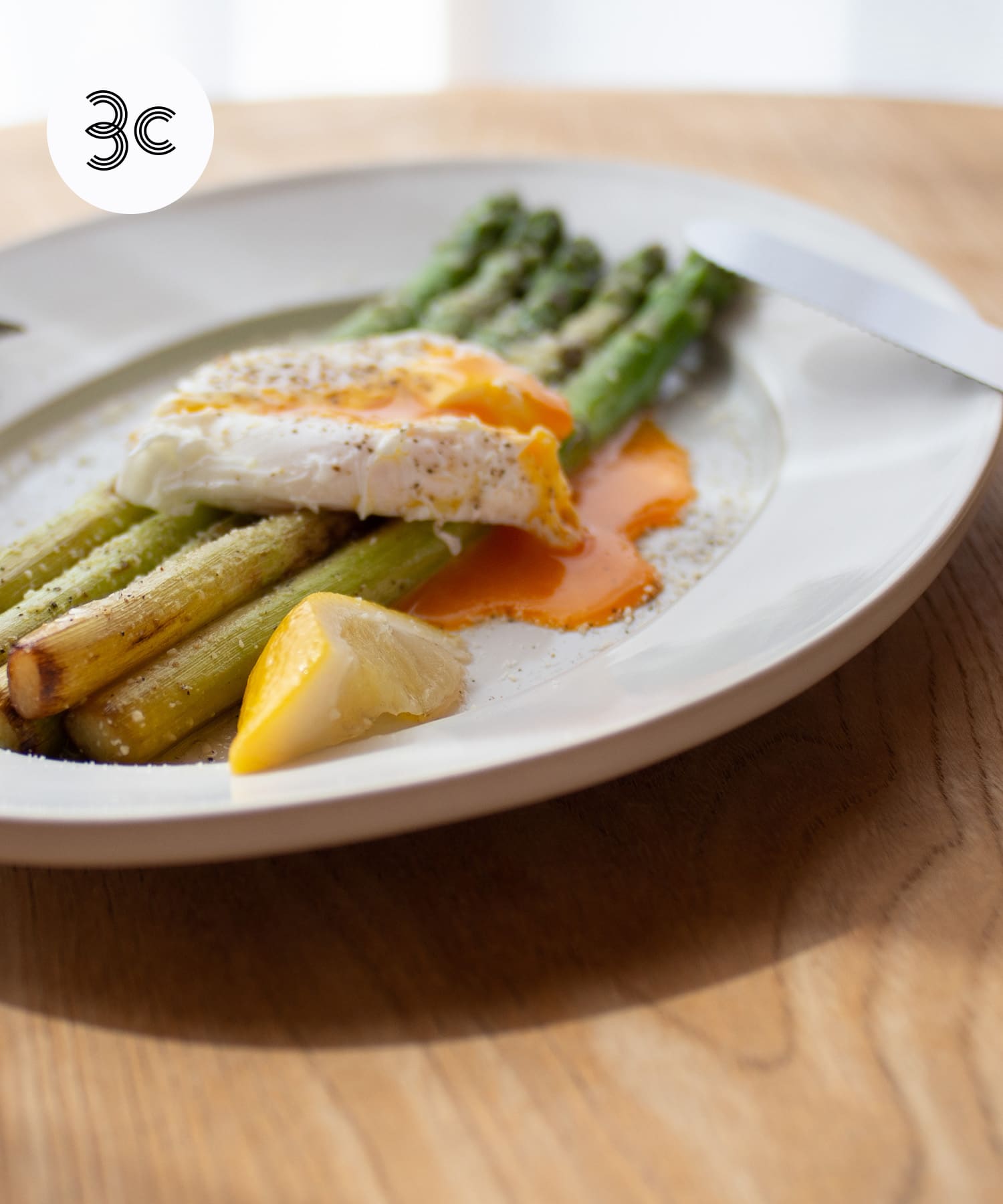 光泉窯　オーバルプレートL