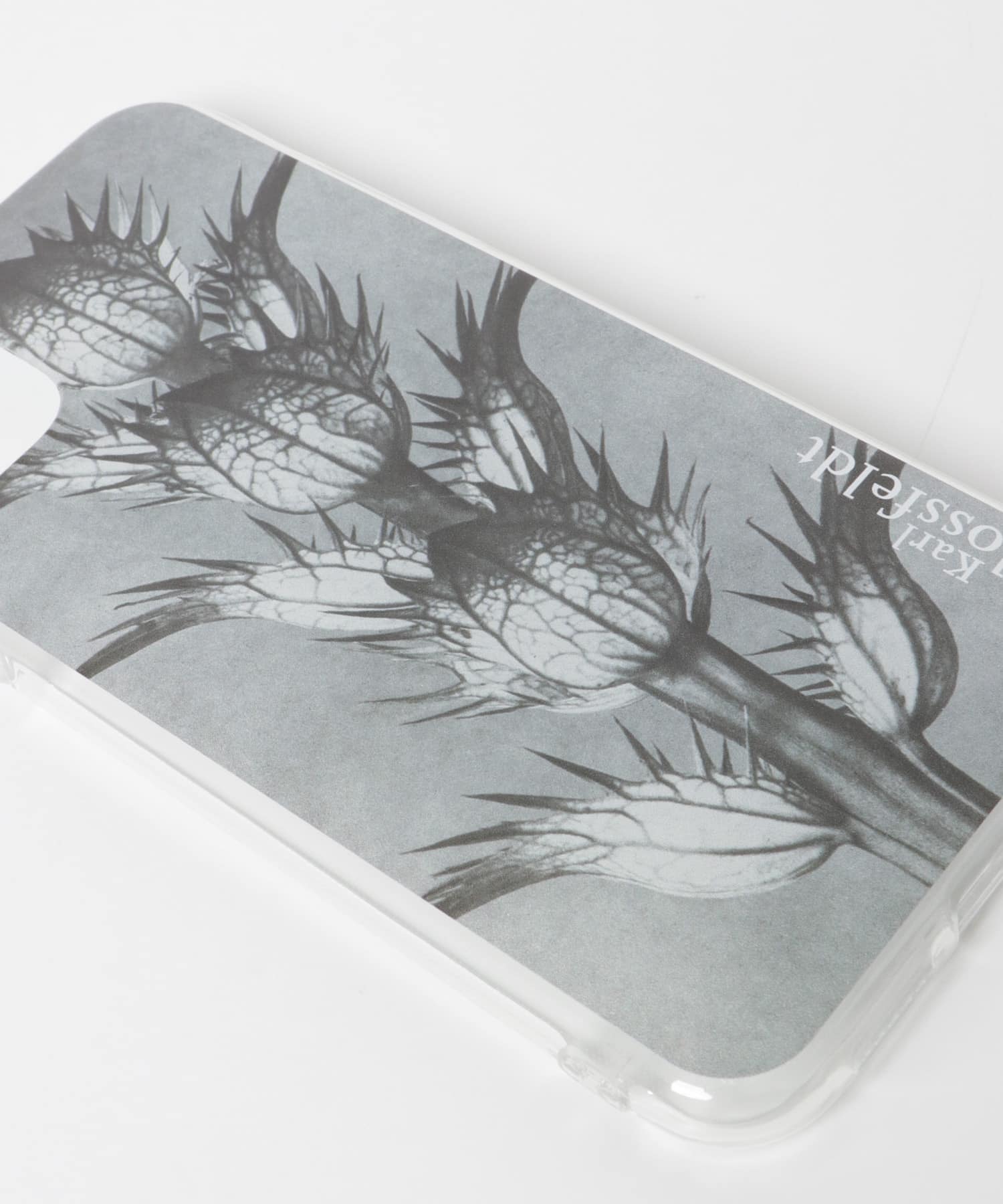 Karl Blossfeldt　iphone11/XR ④ -