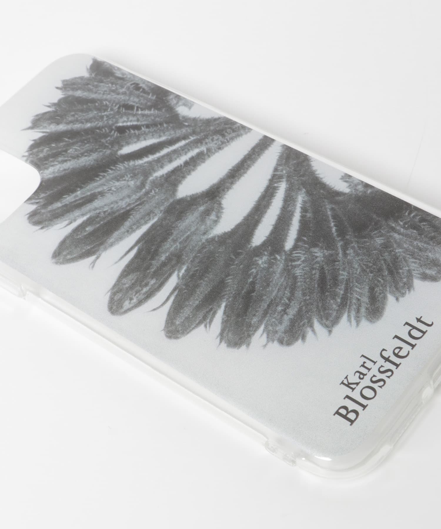 Karl Blossfeldt　iphone11/XR ⑤ -