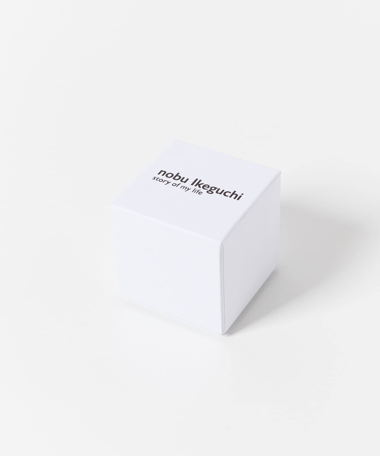 nobu ikeguchi　RING SILVER 10