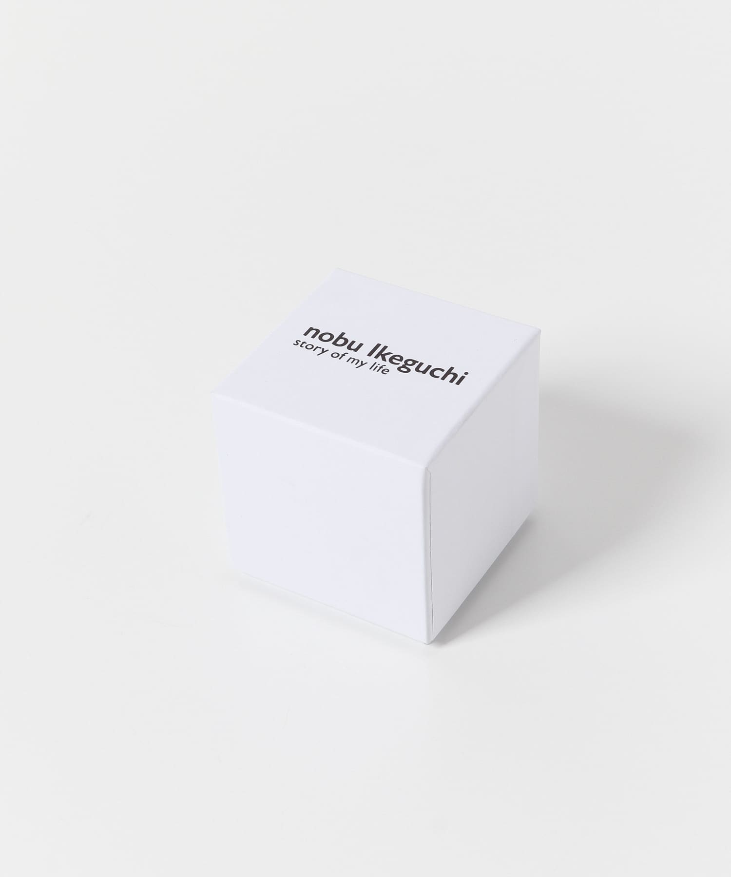 nobu ikeguchi　RING SILVER 9