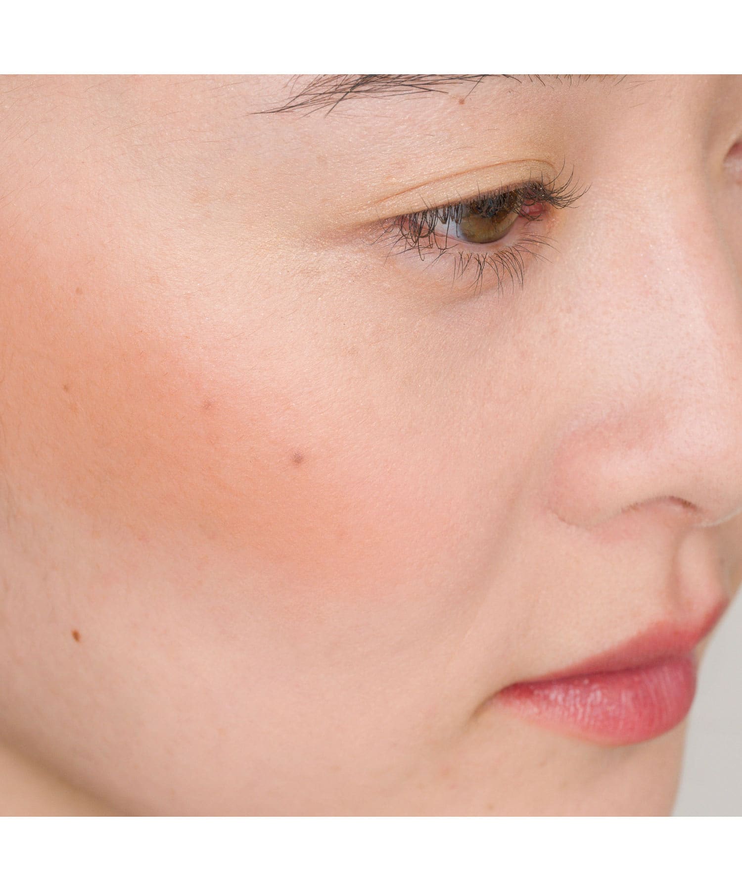 OSAJI　ニュアンスブラッシュ25SS 秘境の地 -