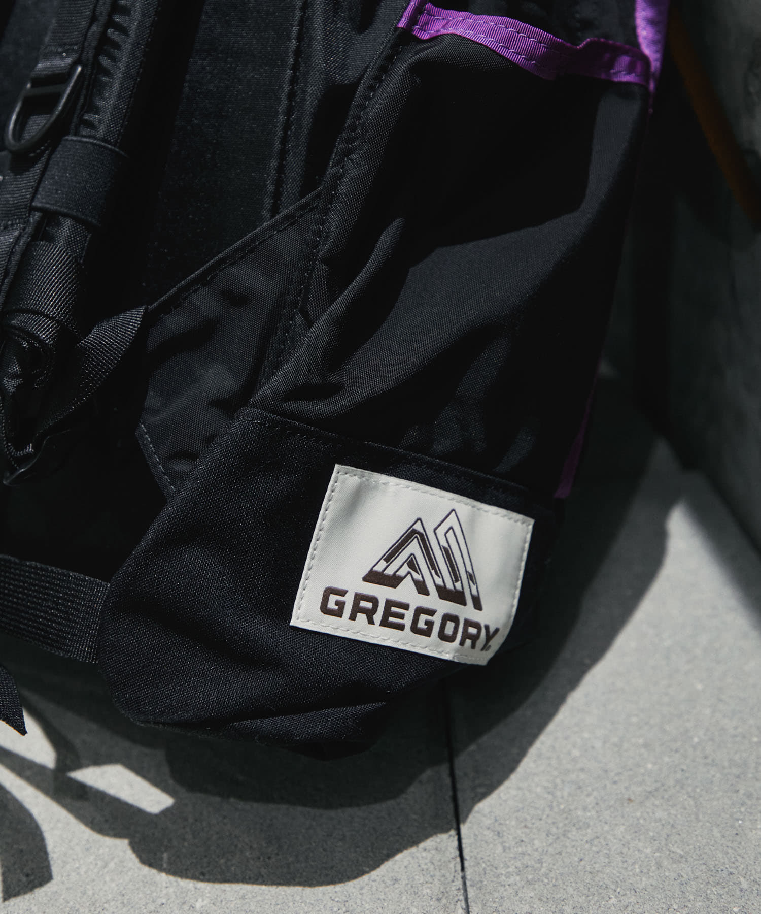 NEXUSVII.×GREGORY DAYPACK PARASITE(FREE BLK/PUR): バッグ｜URBAN