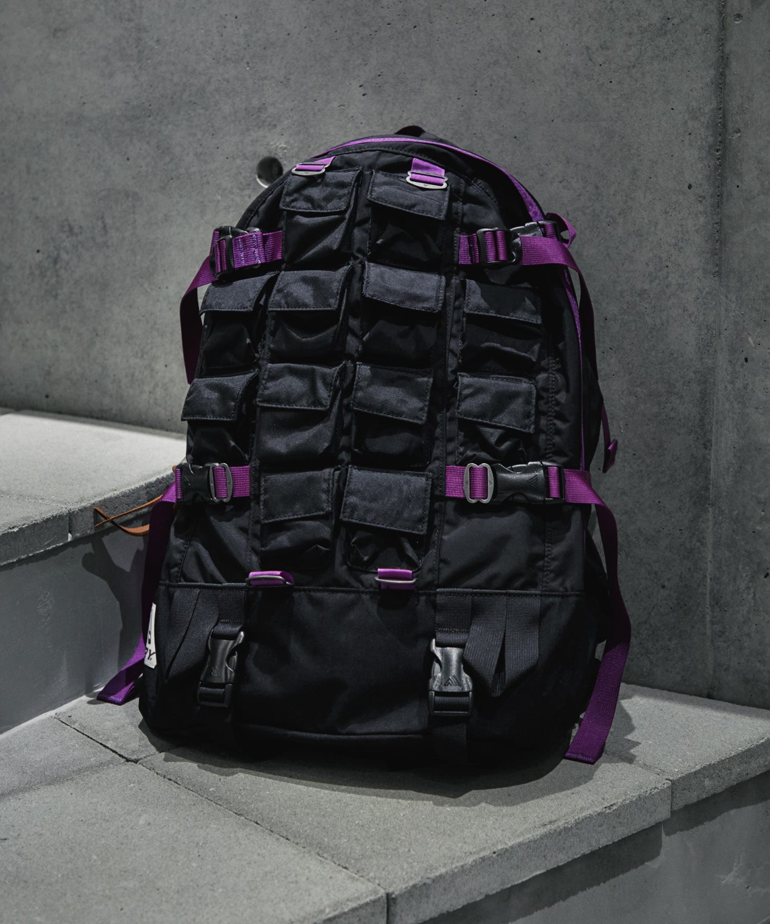 NEXUSVII.×GREGORY　DAY&HALF PACK PARASITE