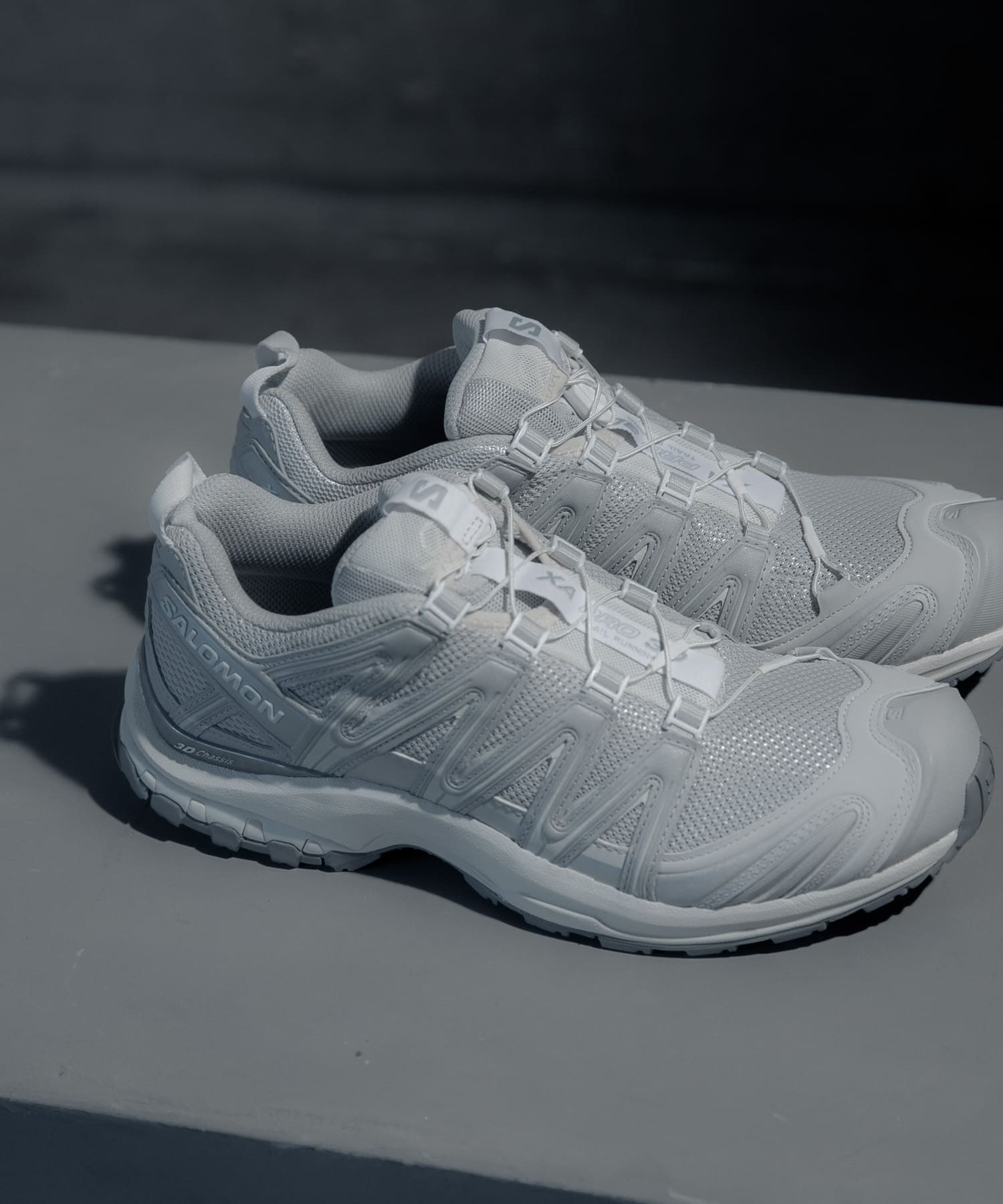 『26-30サイズ』SALOMON　Exclusive XA PRO 3D DB/SIL/VI 26