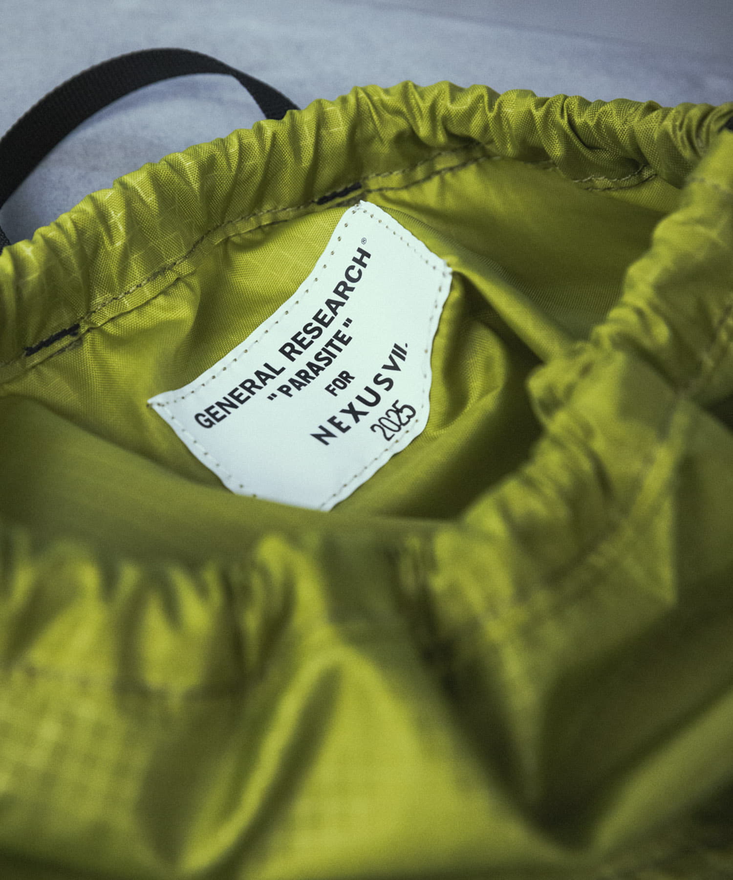 NEXUSVII.×GREGORY　PARASITE KNAPSACK GRN×BLU FREE