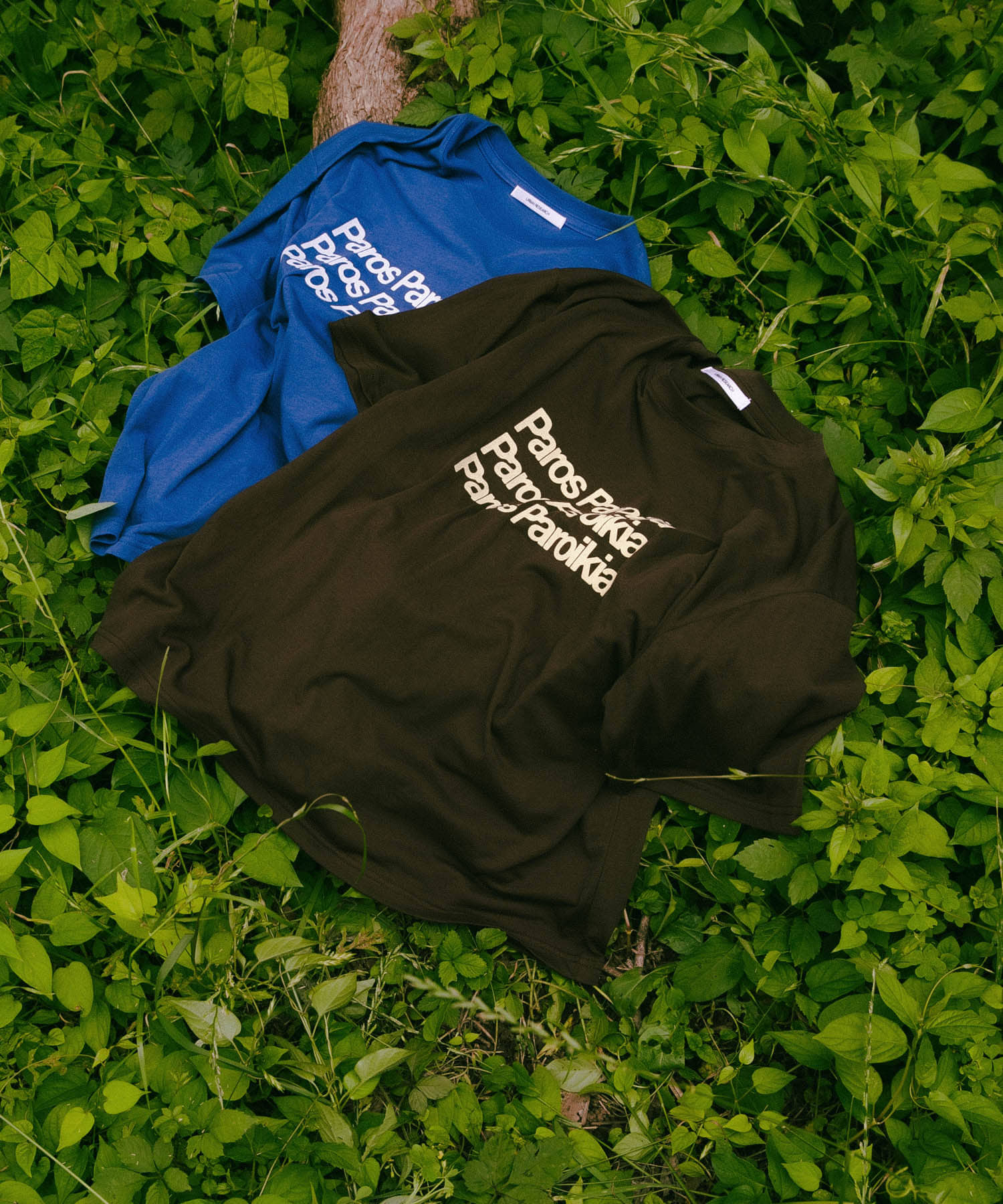 シアープリントカラーTシャツ