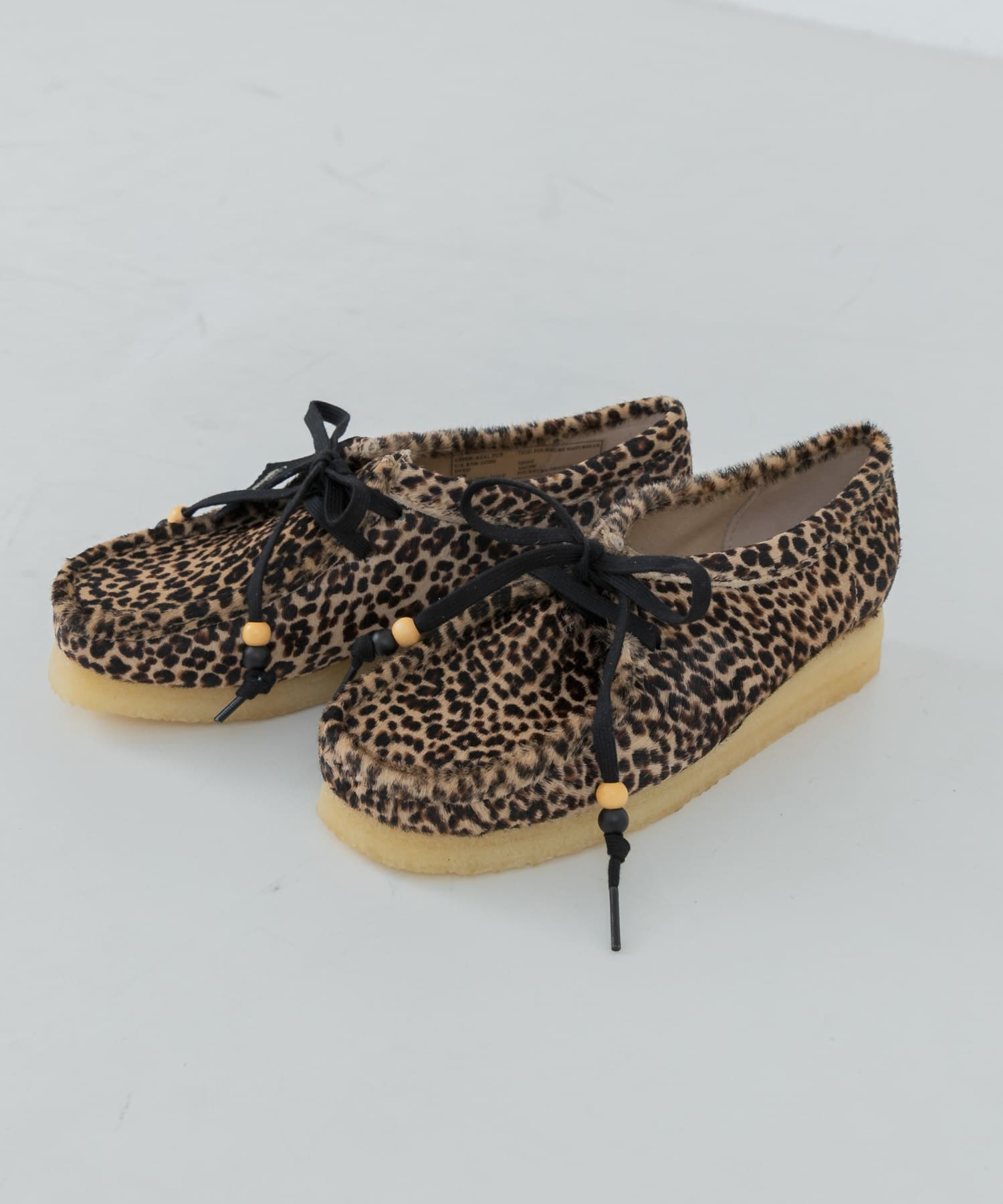 leopard