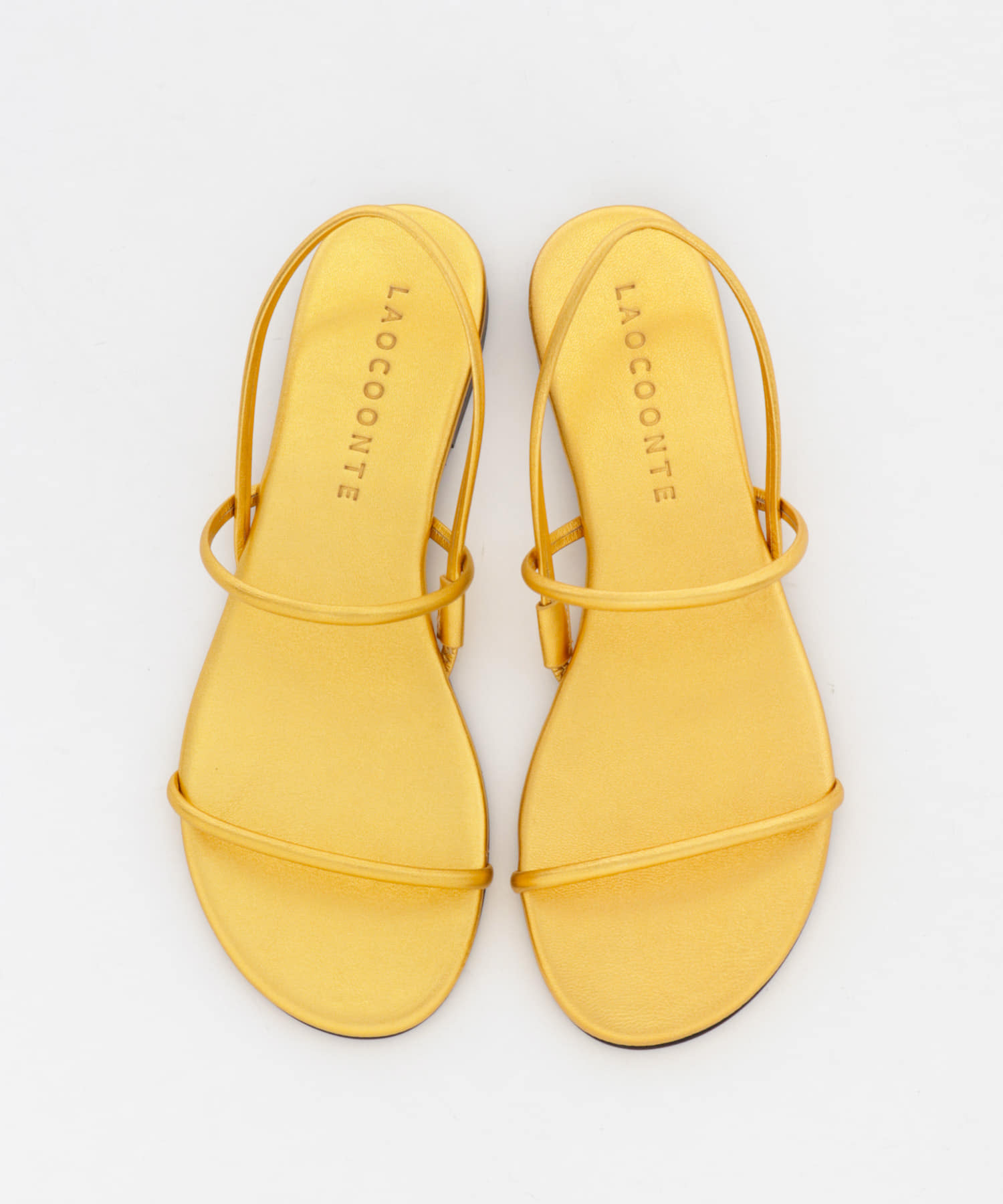 LAOCOONTE　ALUA Century Gold 36