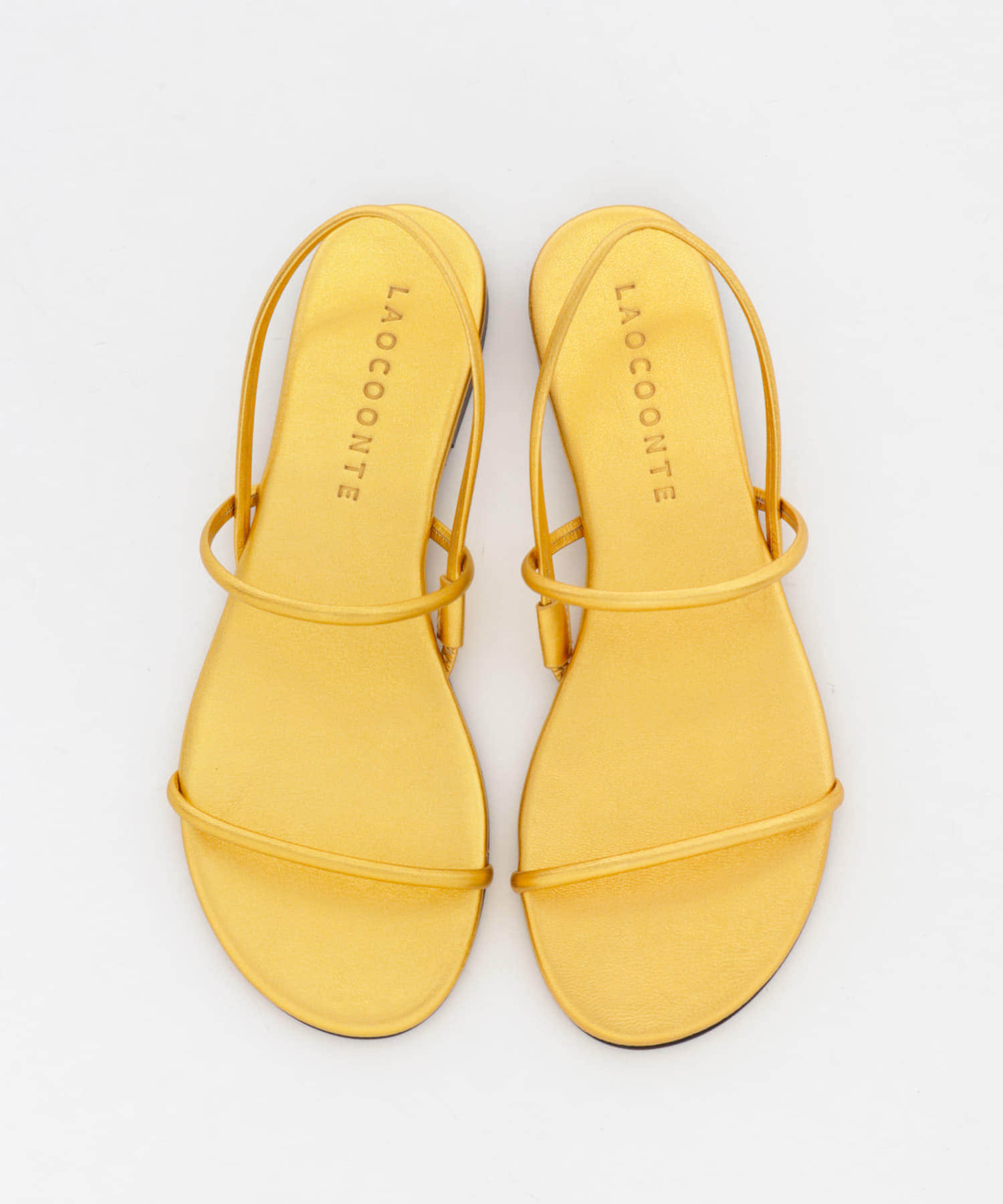 LAOCOONTE　ALUA Century Gold 36