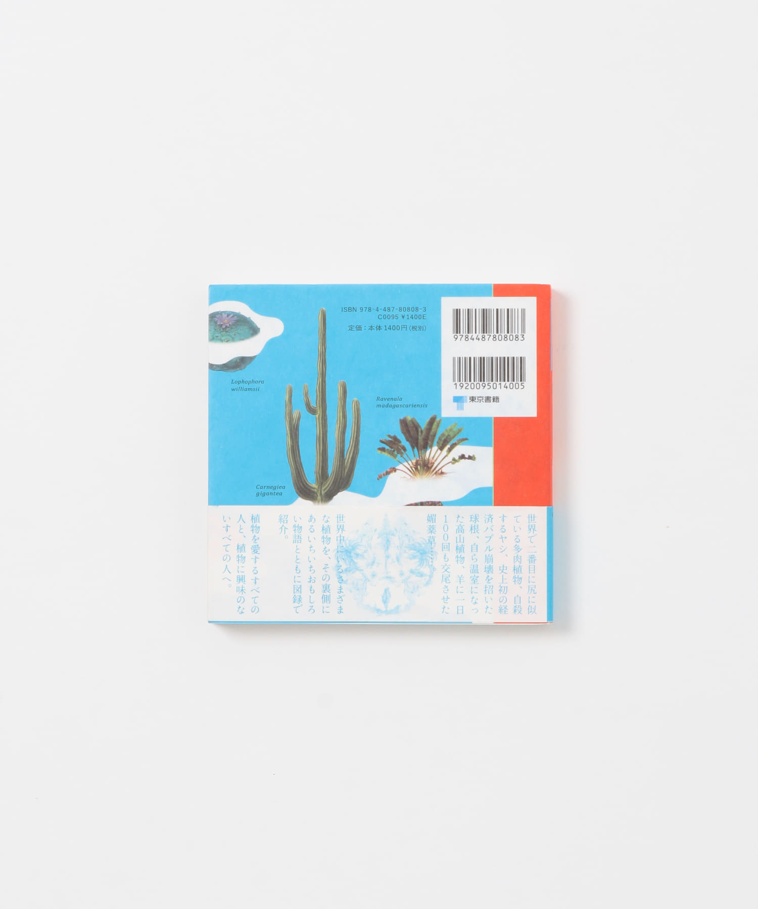 西畠清順　そらみみ植物園 - -