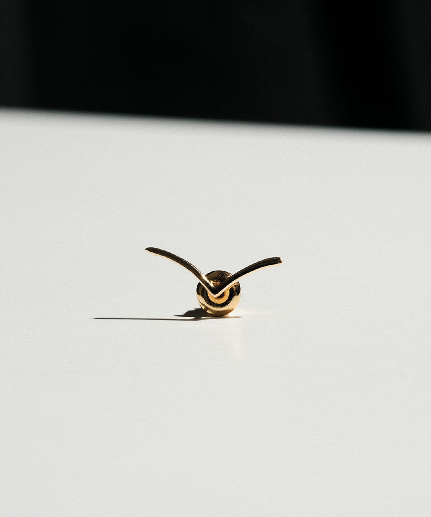 ucalypt　Zodiac earring