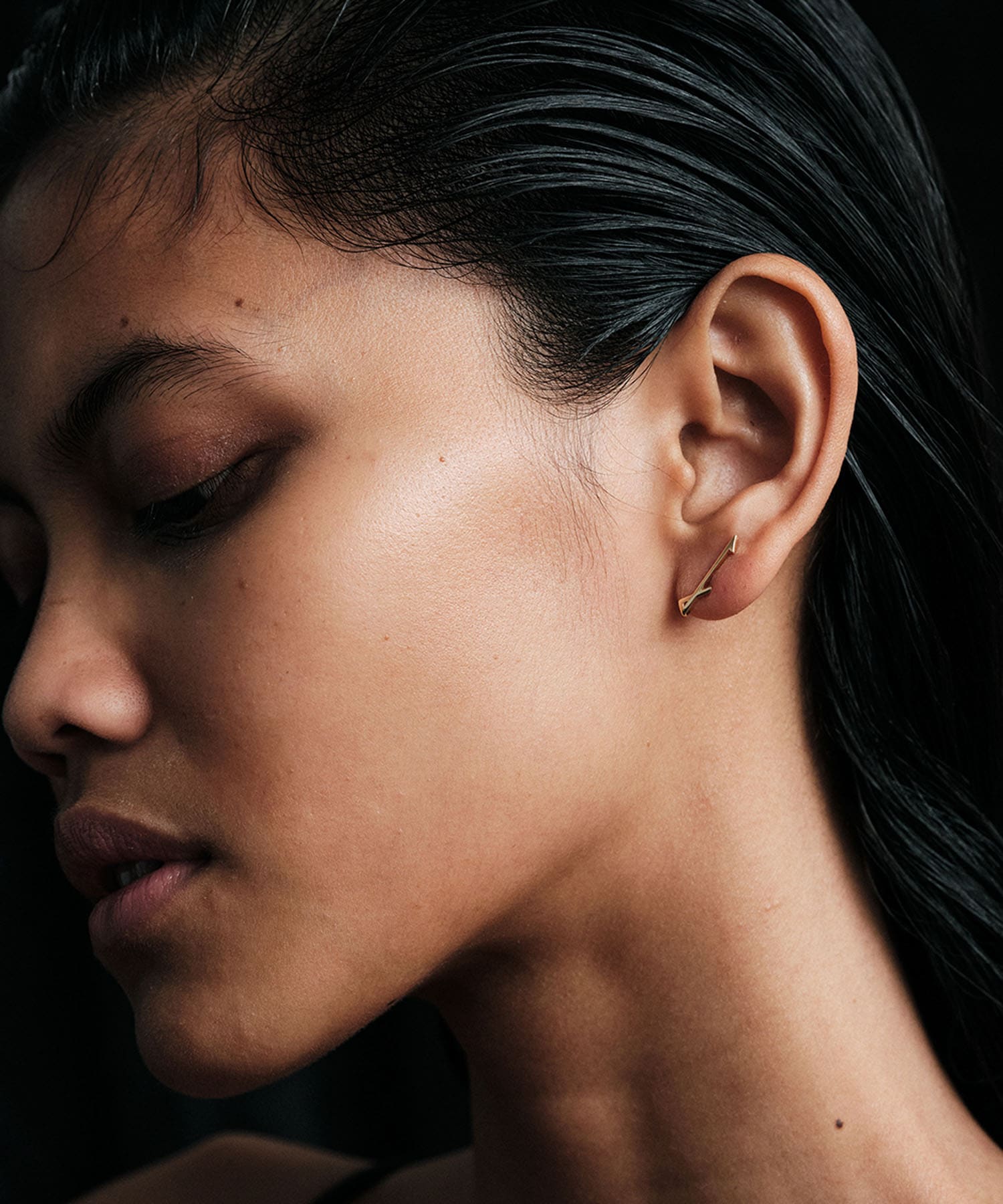 ucalypt　Zodiac earring Sagittariu -