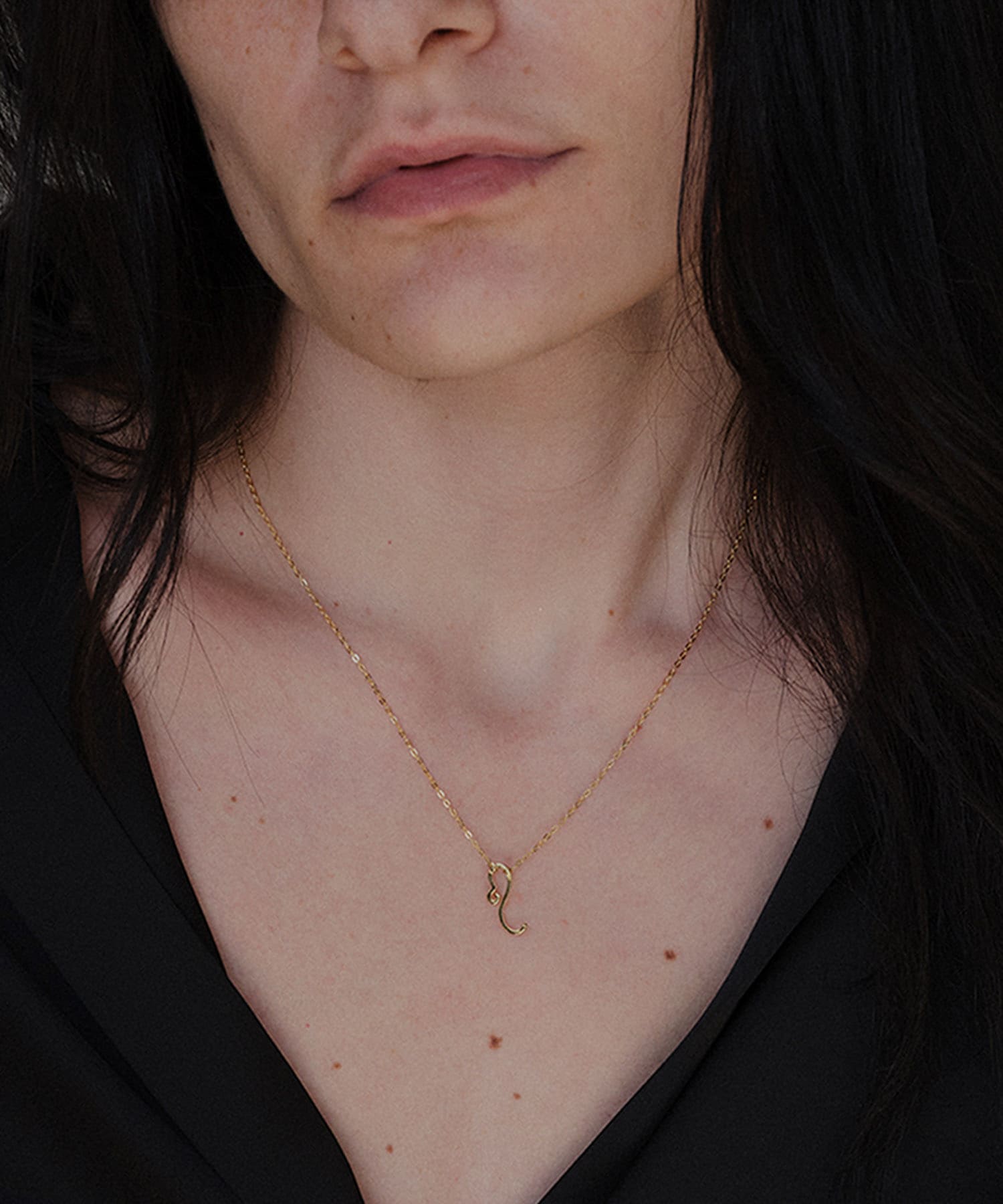 ucalypt　Zodiac necklace Leo -