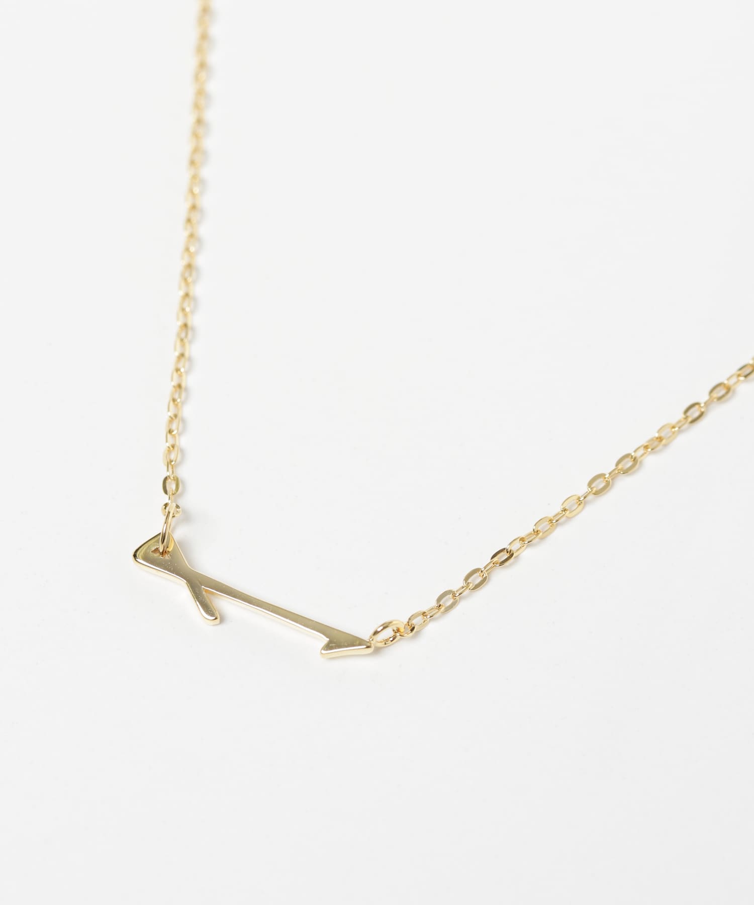 ucalypt　Zodiac necklace