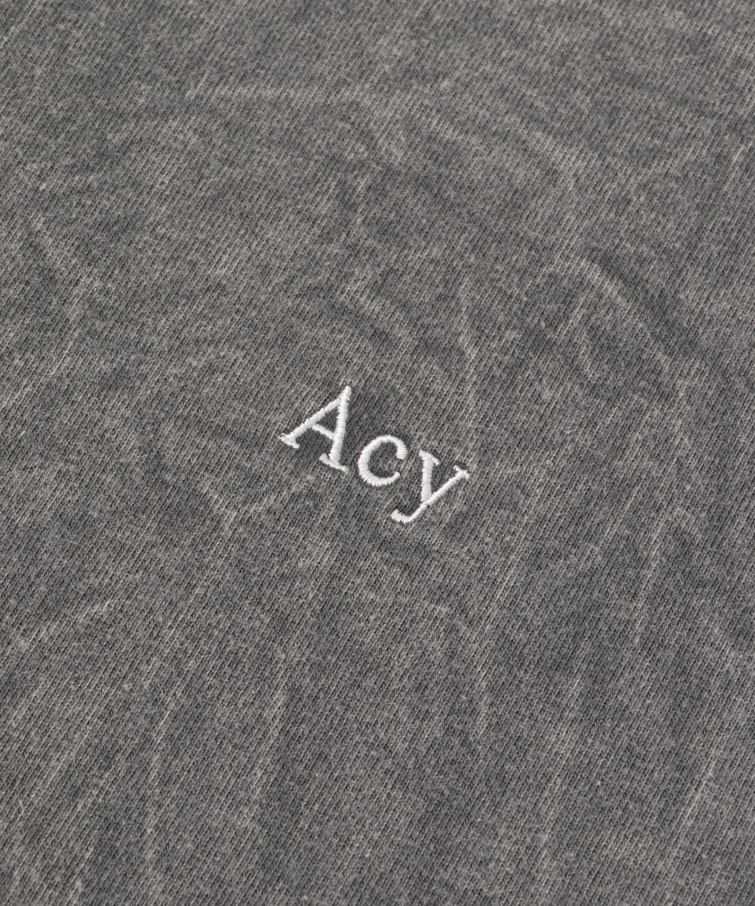 Acy　GDYE HEAVY WEIGHT L/S TEE GRAY M