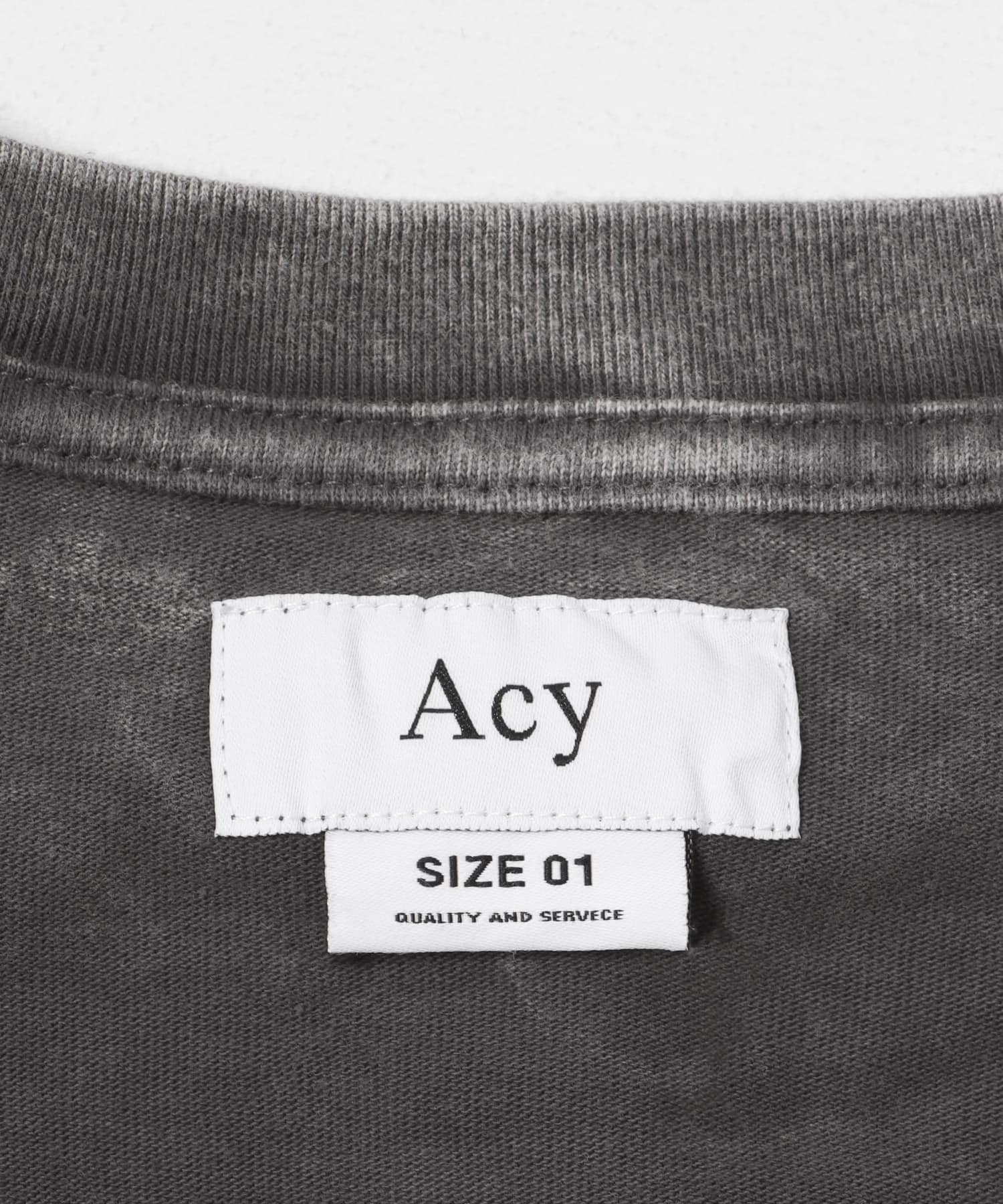 Acy　GDYE HEAVY WEIGHT L/S TEE GRAY M