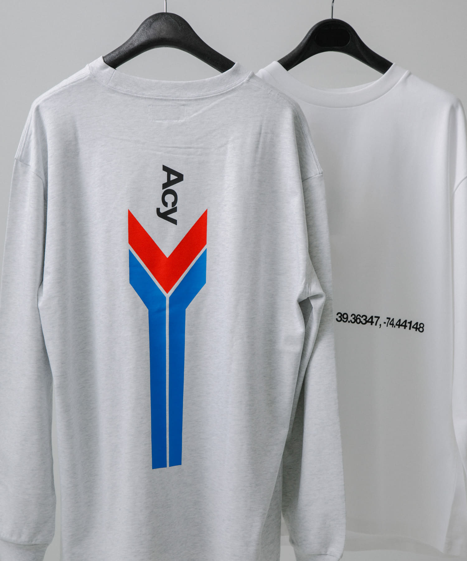 Acy　NJ L/S TEE ASH M