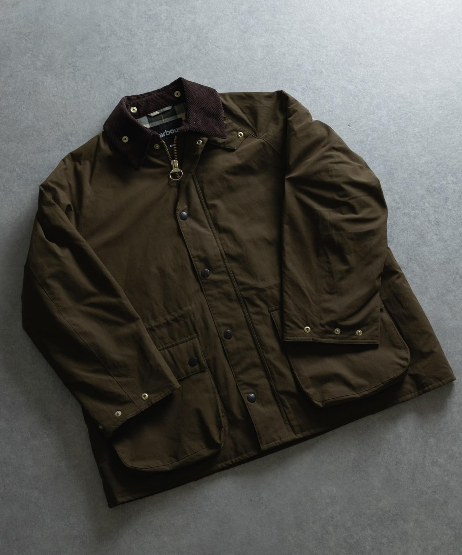 OLIVE