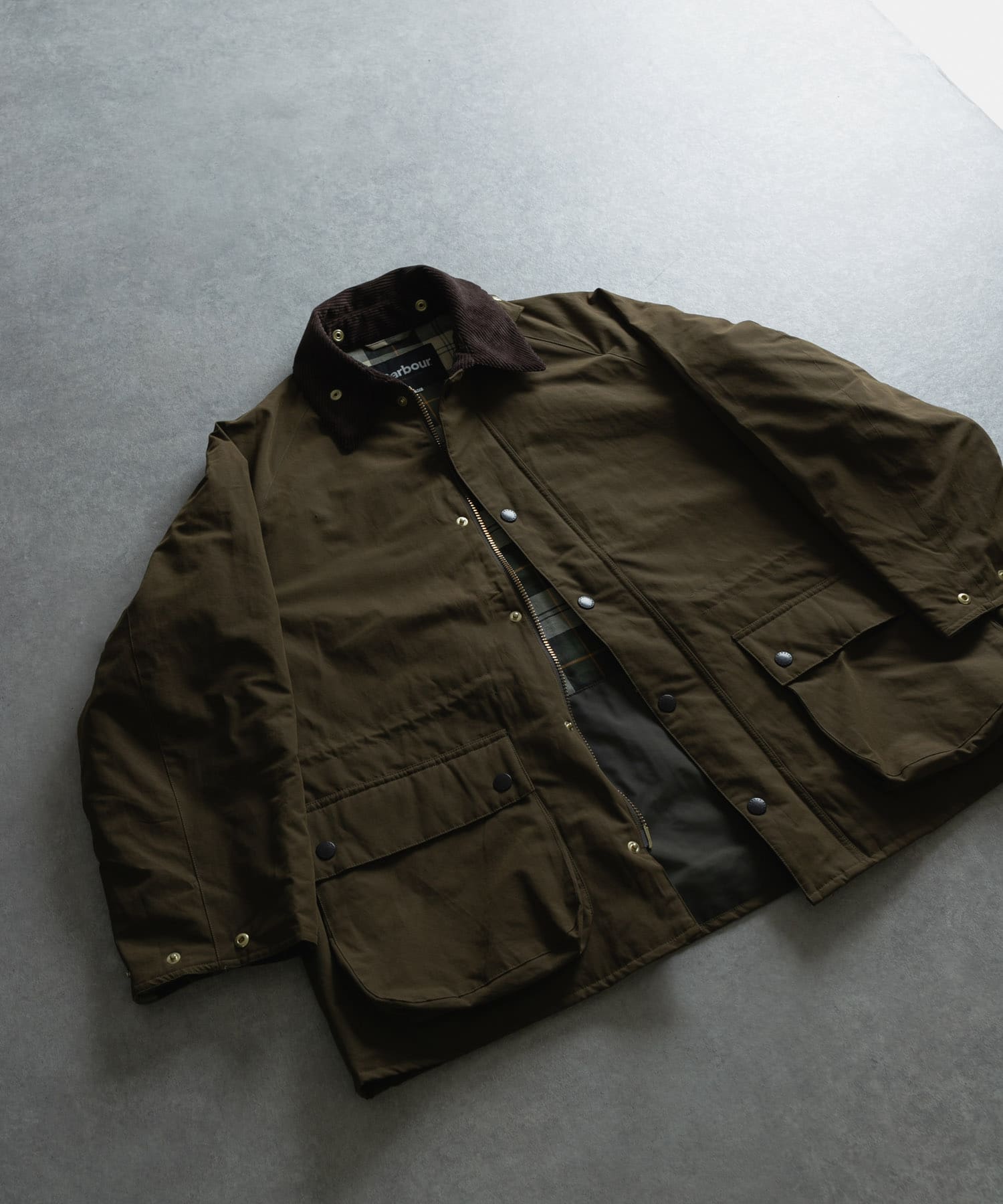 OLIVE