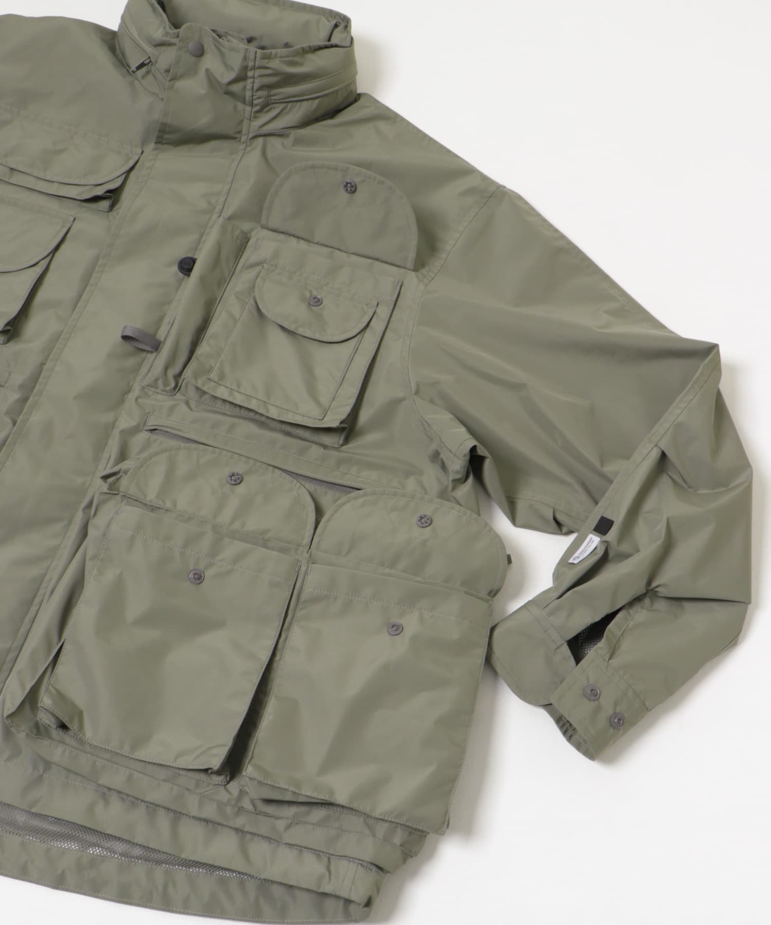 WOLF GRAY