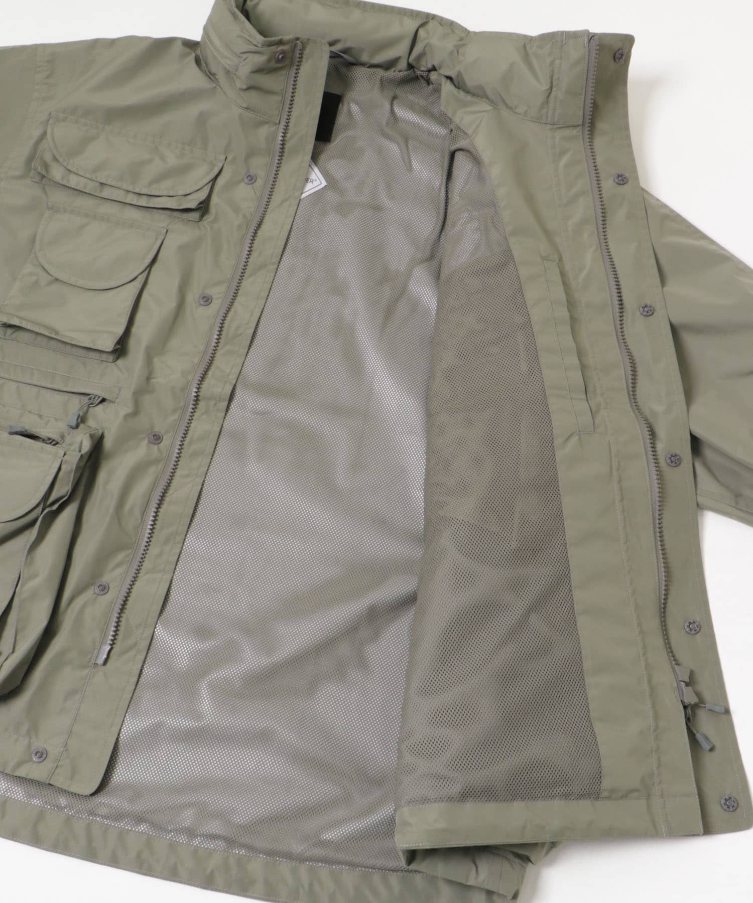 WOLF GRAY