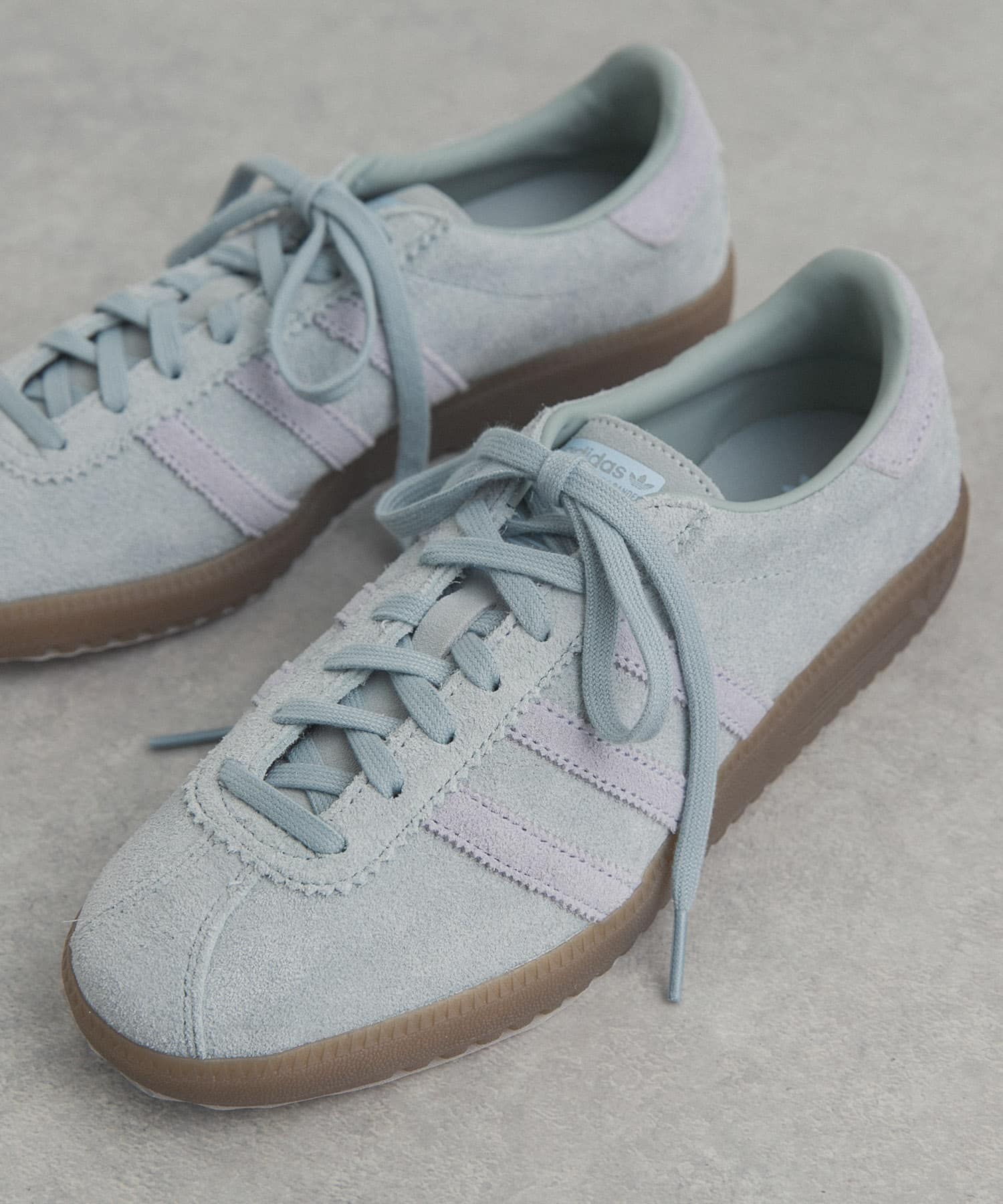 ワンダーセージ