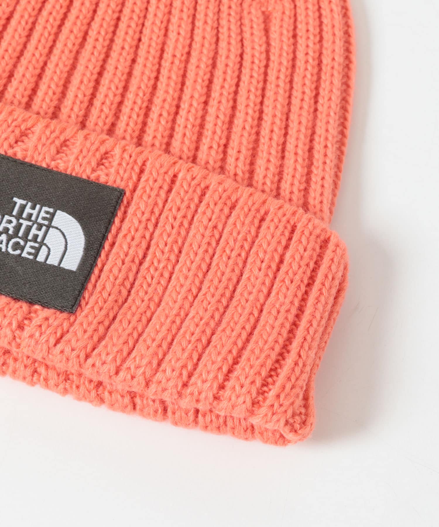 リビングコーラル