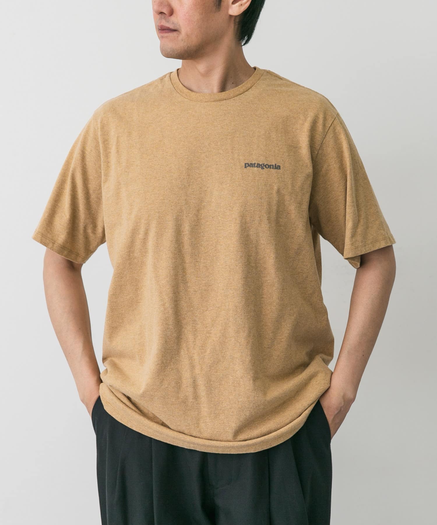 patagonia　TakeaStandResponsibili-T-shirts