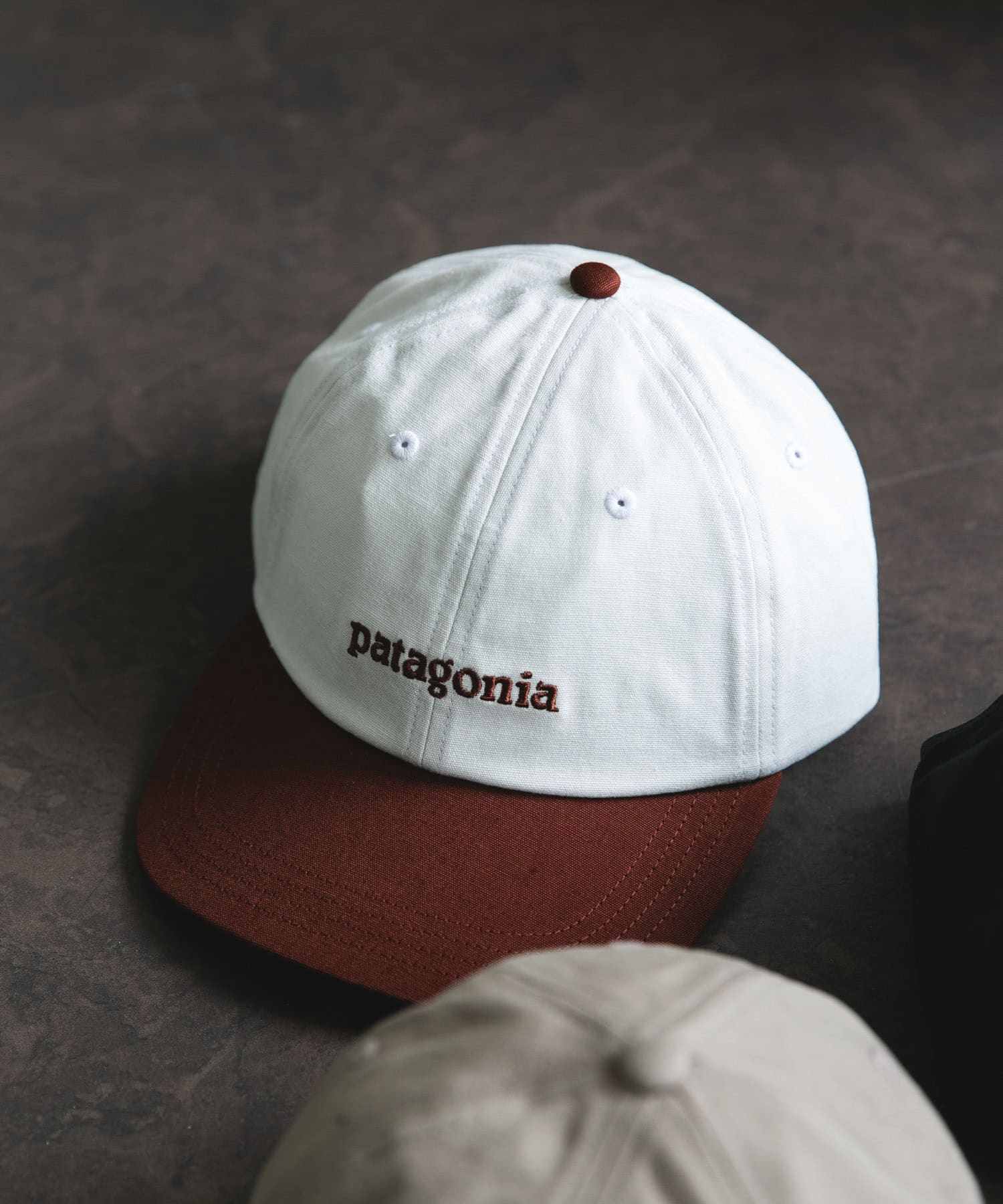 patagonia　Fitz Roy Icon Trad Cap