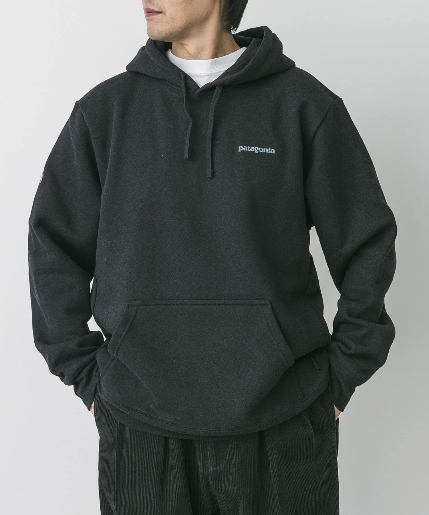 patagonia　FitzRoyIconUprisalHoody