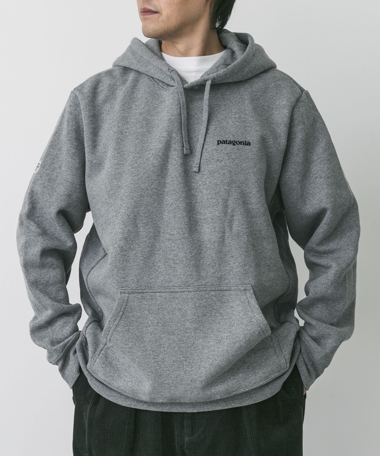 patagonia　FitzRoyIconUprisalHoody