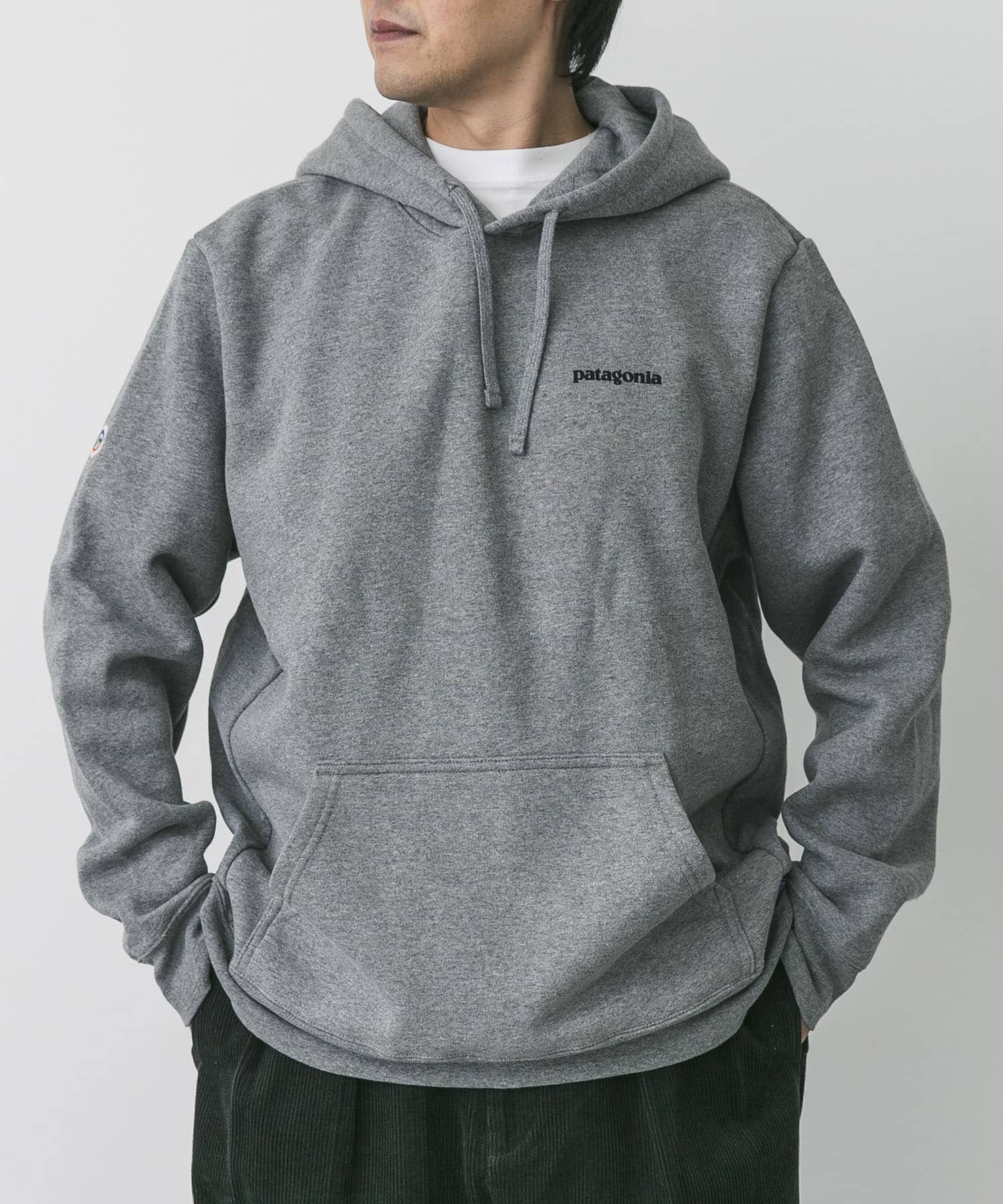 patagonia　FitzRoyIconUprisalHoody