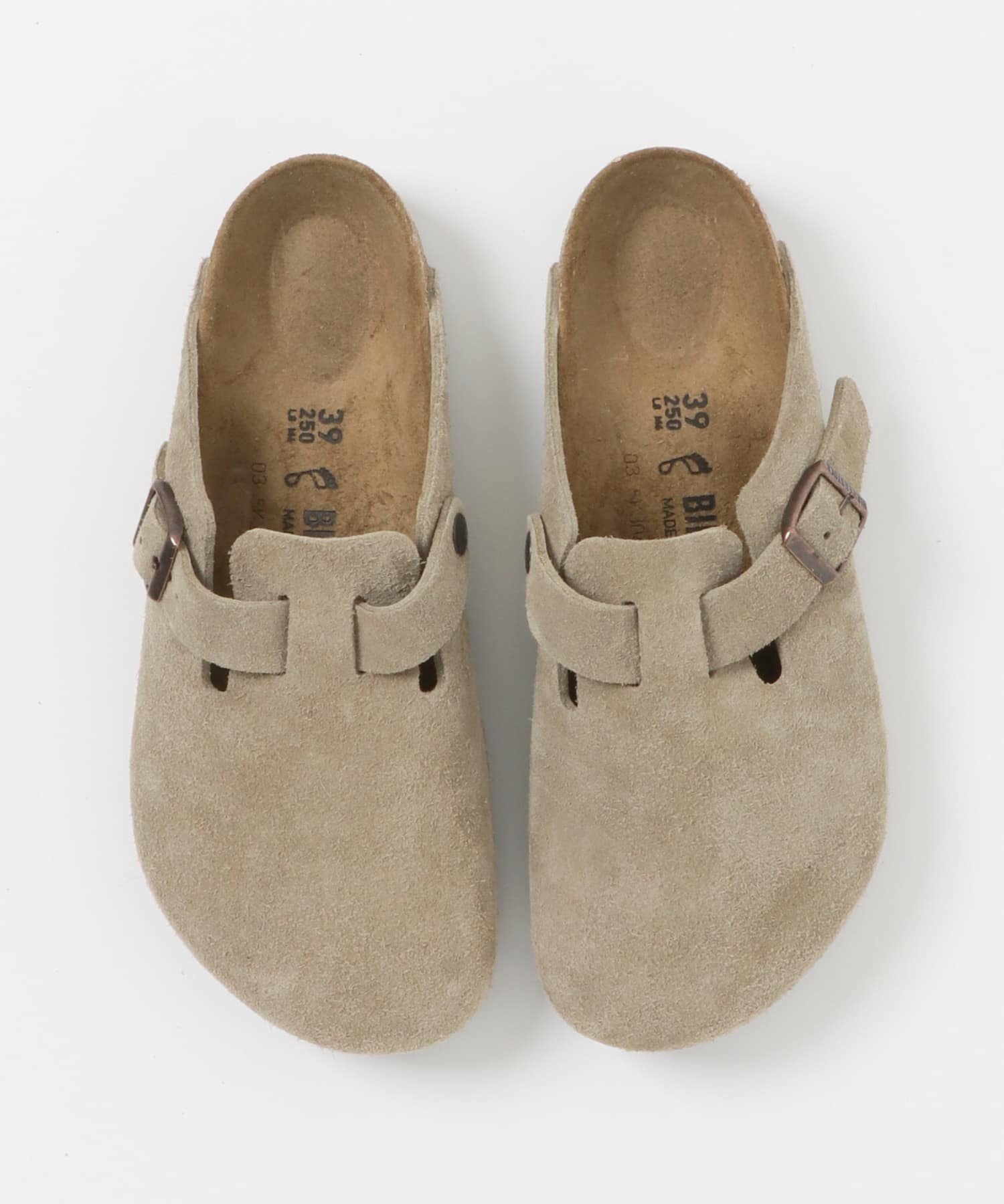 TAUPE