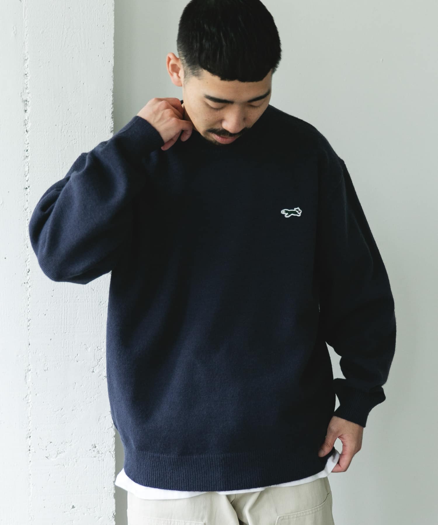 NAVY