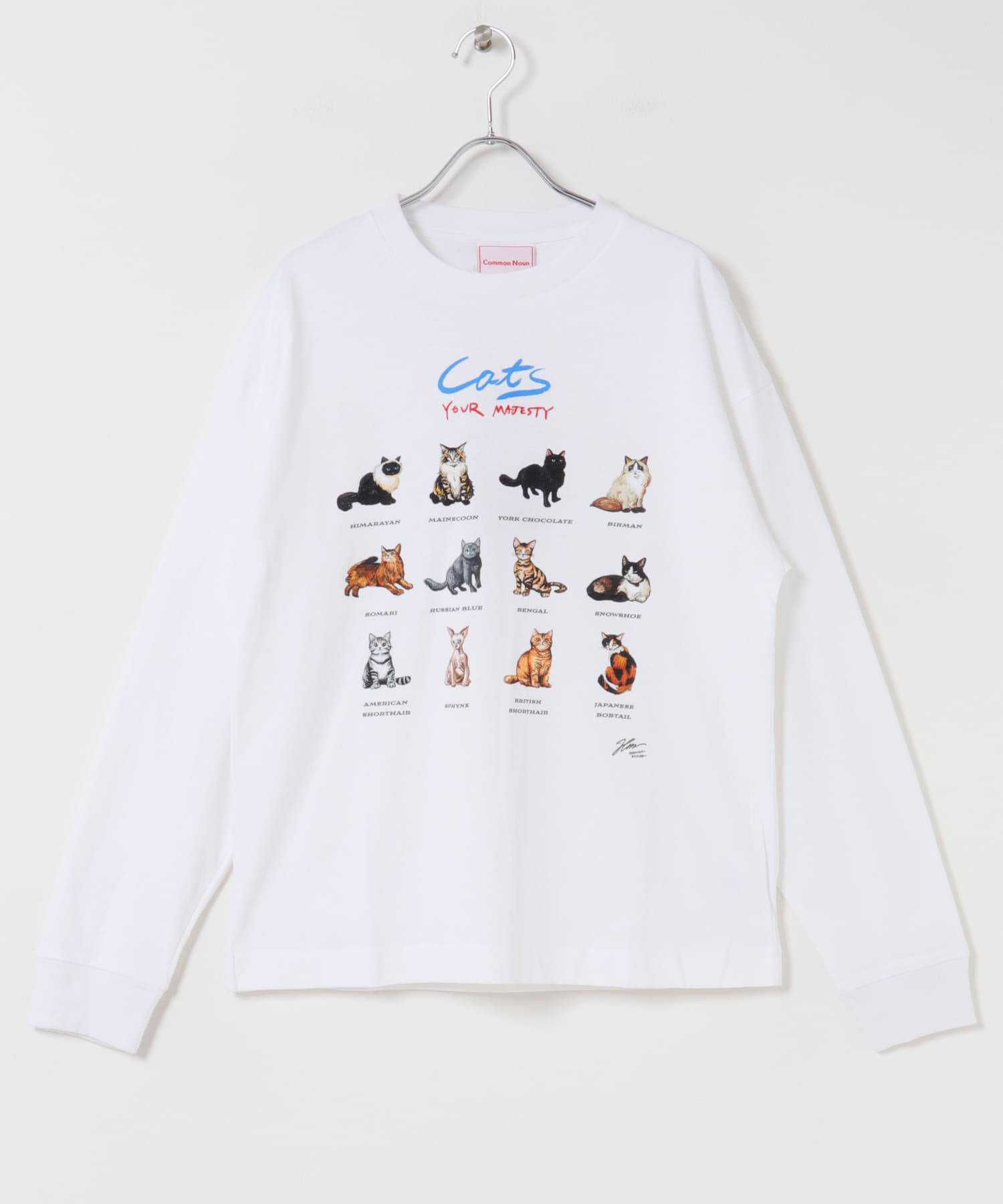 Common Noun　HirochikaMachida天竺ロングTシャツ