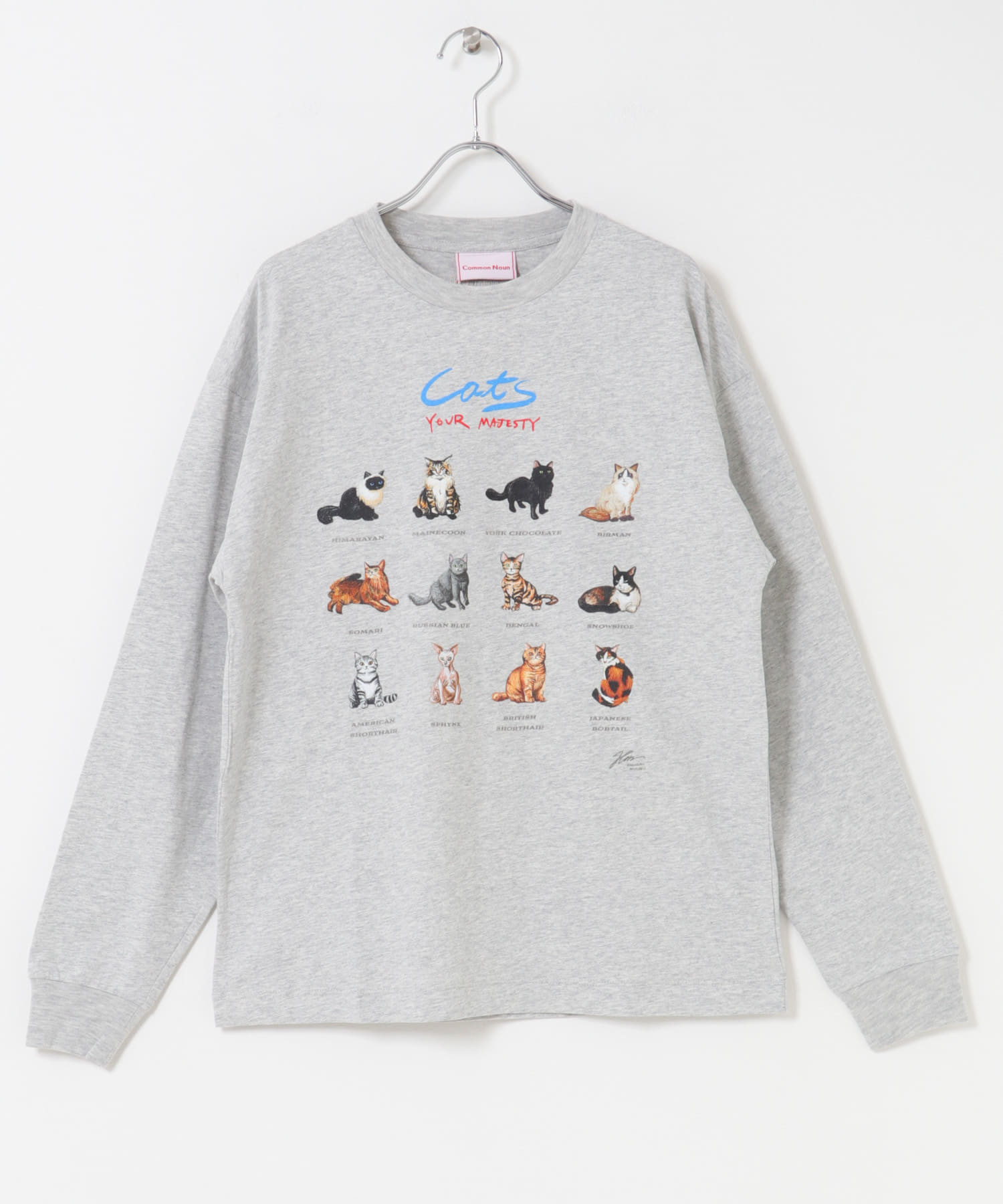 Common Noun　HirochikaMachida天竺ロングTシャツ
