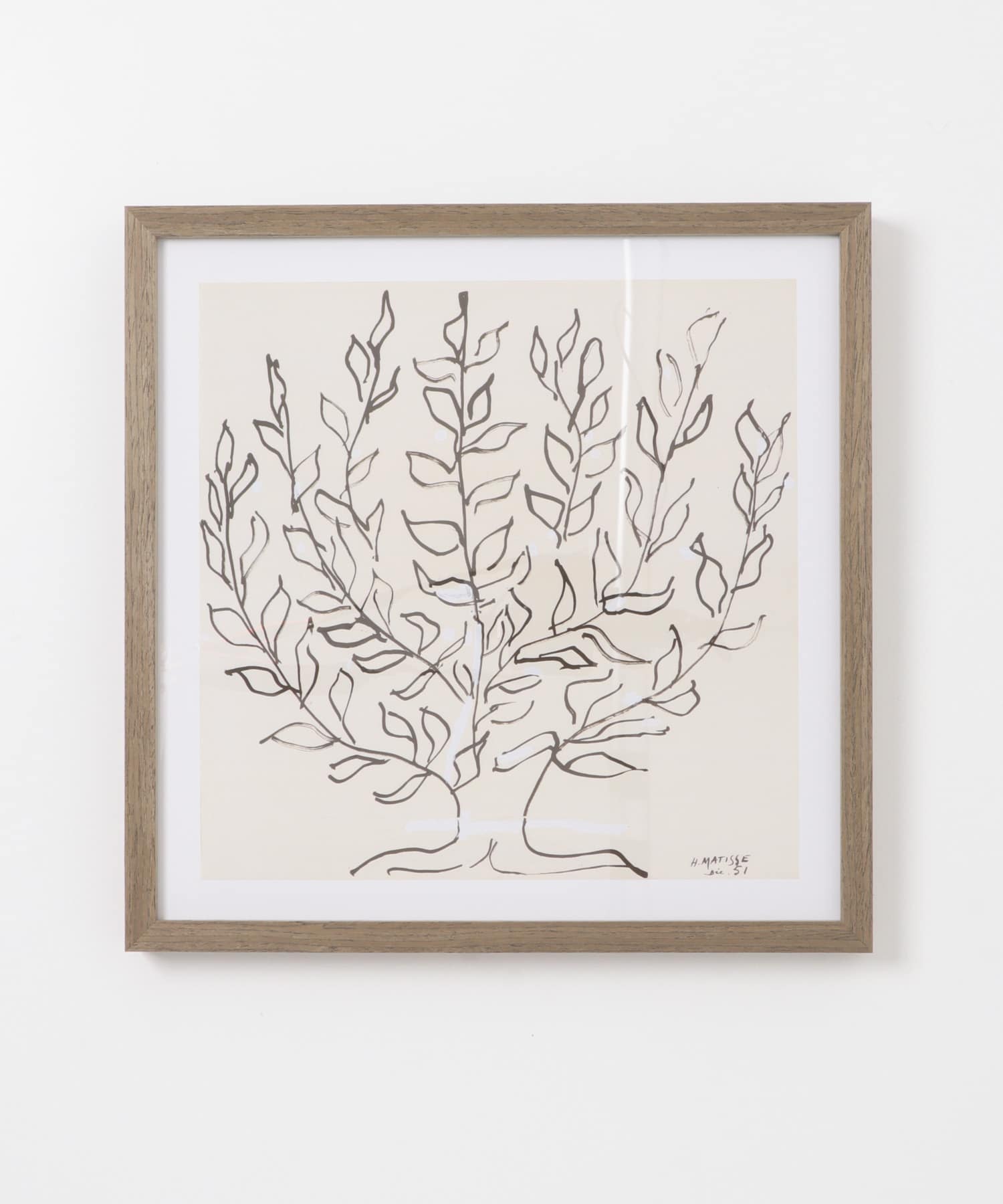 RAF　Matisse/Le platane(S)