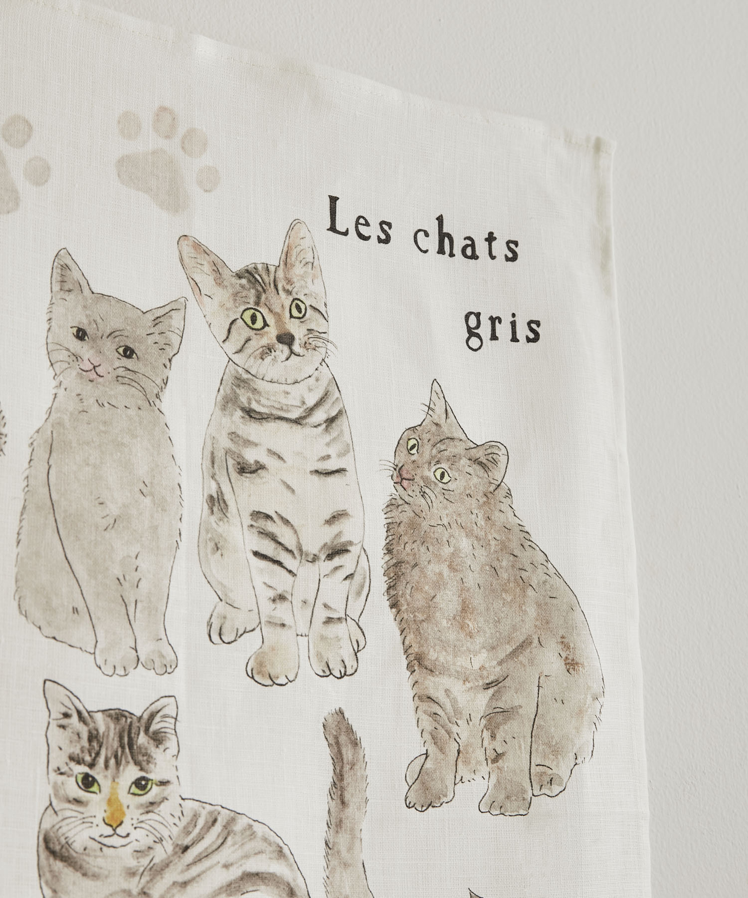 猫たち
