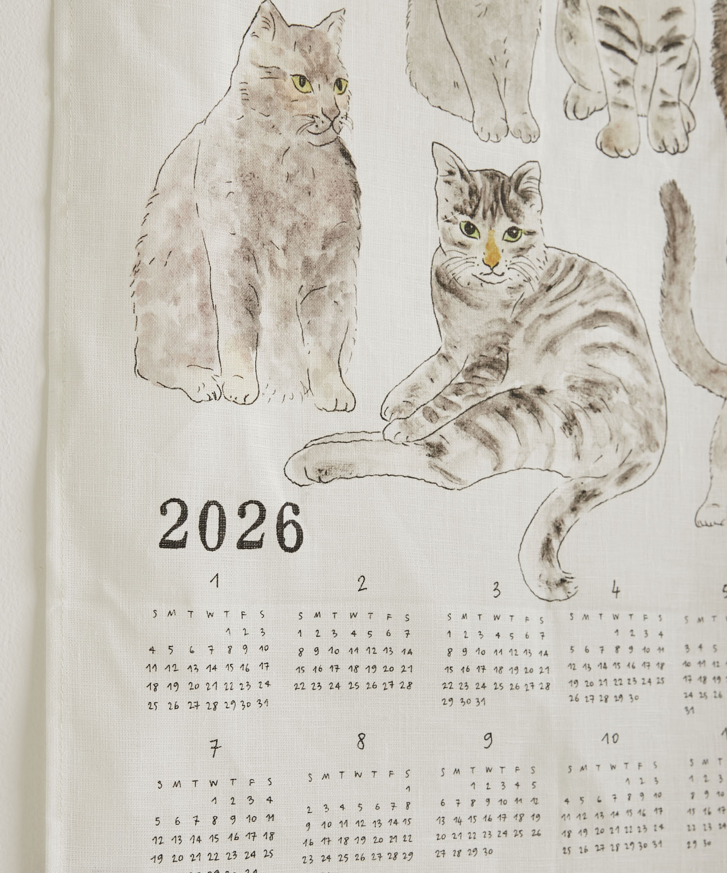 猫たち