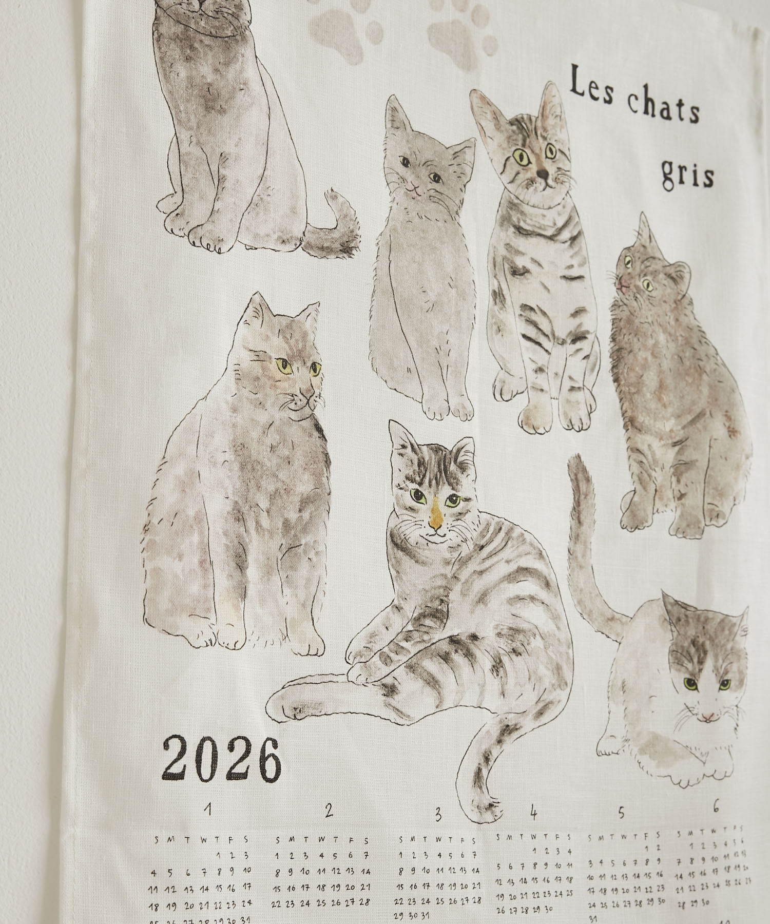 猫たち