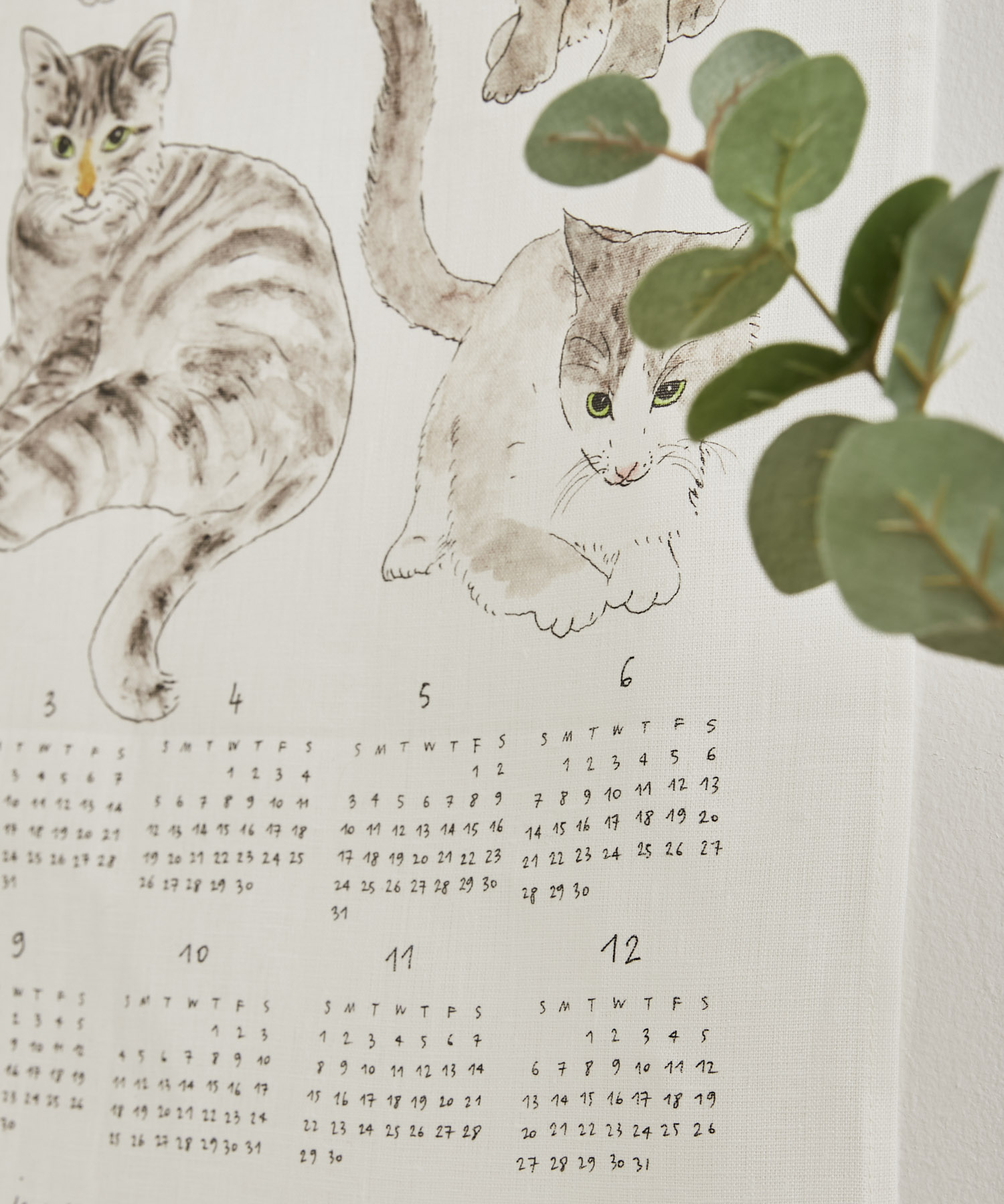 猫たち