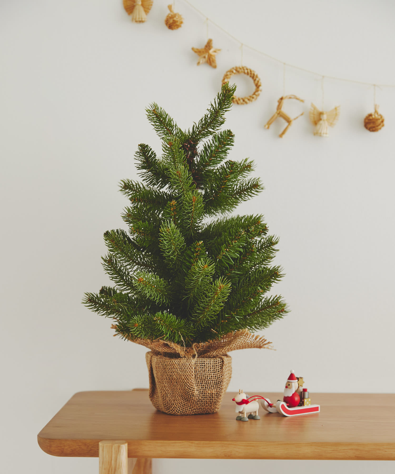 『WEB限定』南貿易　ノルウェープルースツリー