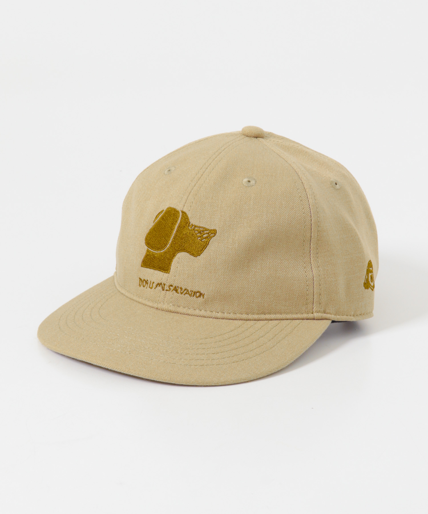 TACOMA FUJI RECORDS DOG IS MY SALVATION CAP