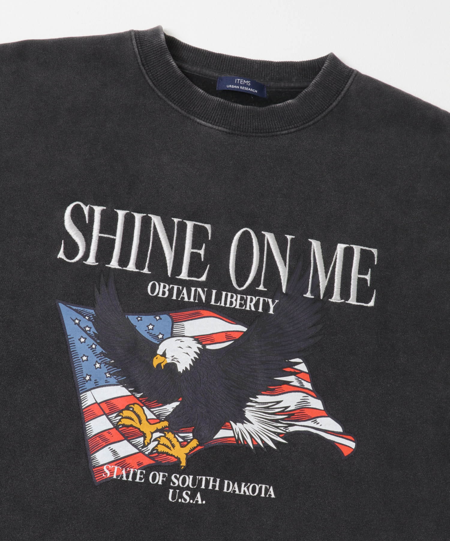 パウダー加工 裏起毛スウェットプルオーバー AMERICAN M