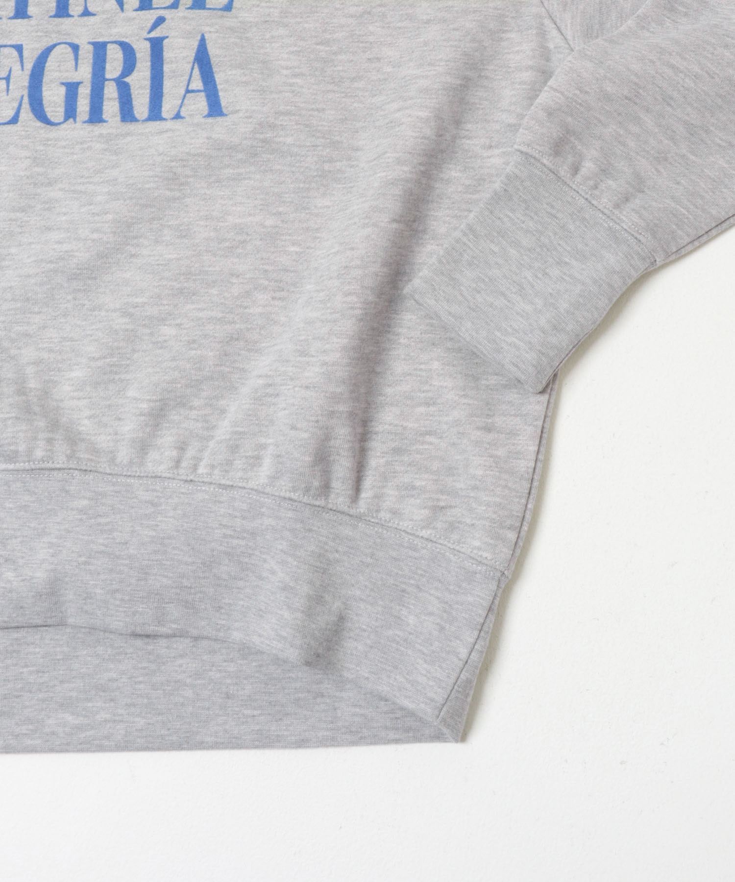 アソートロゴスウェット L.GRY Free