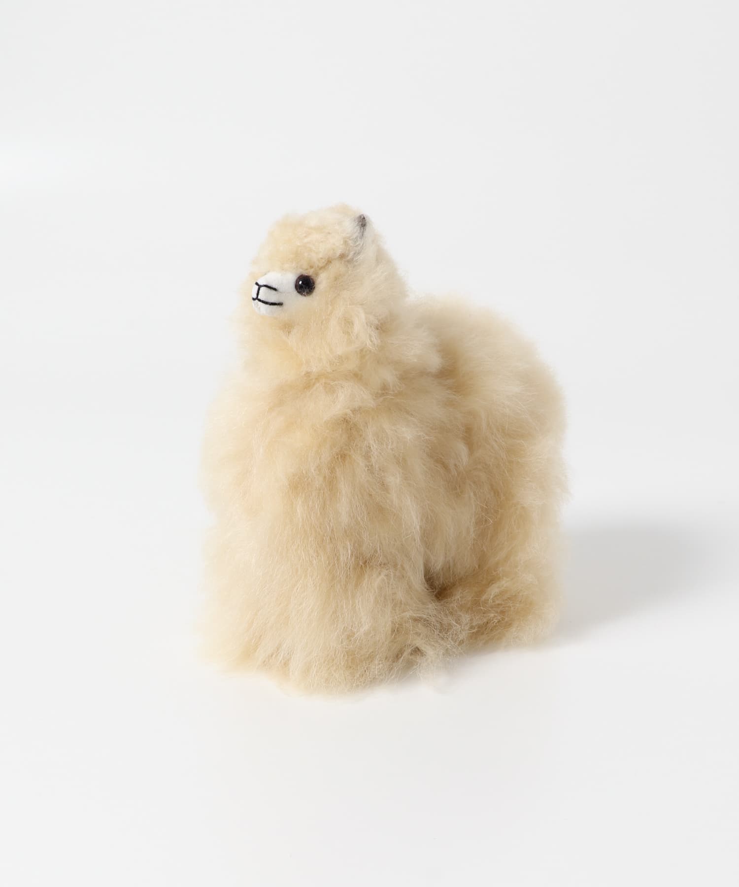 COSY　ALPACA