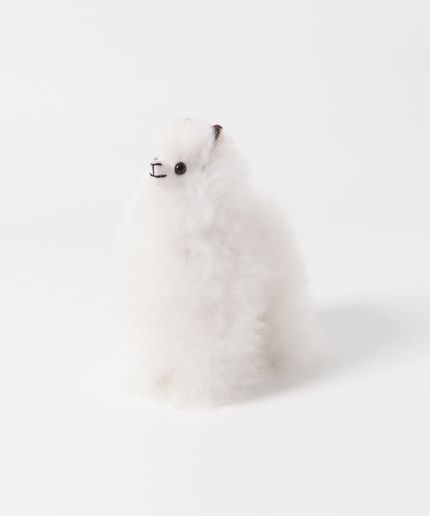COSY　ALPACA