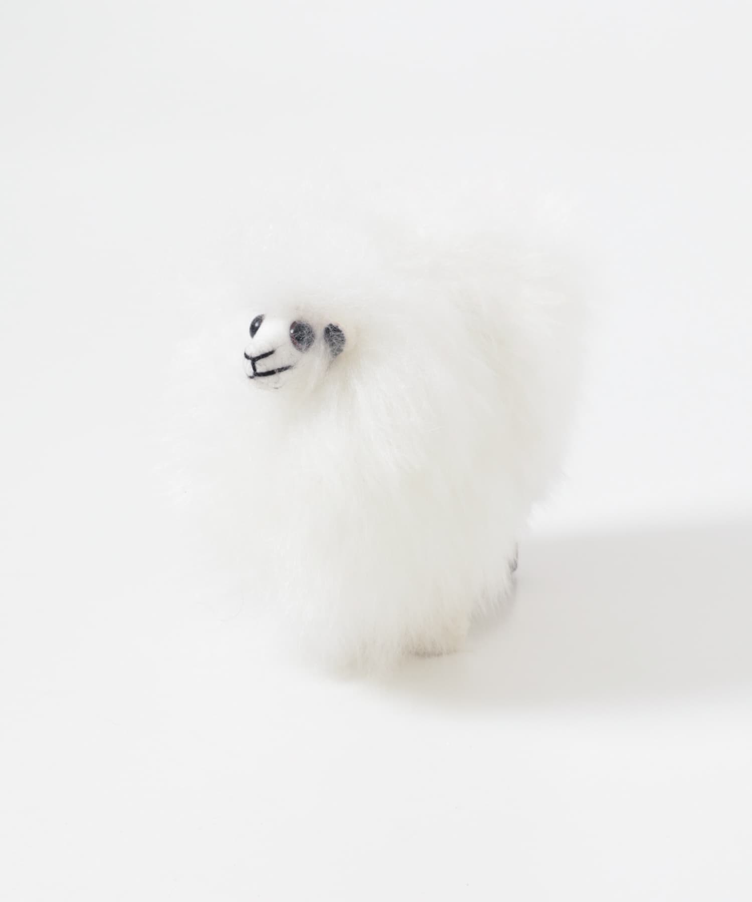 COSY　SHEEP WHITE FREE