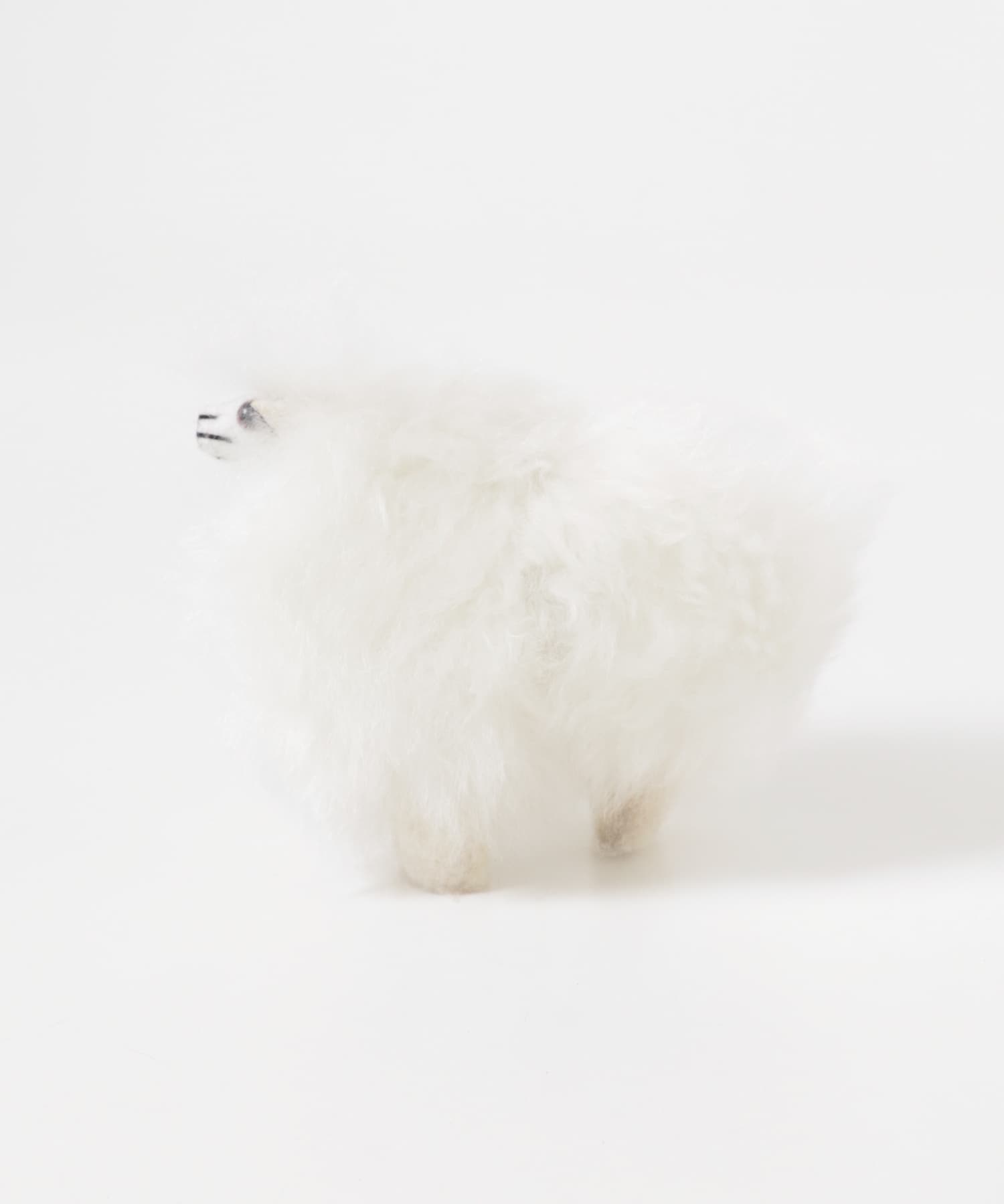 COSY　SHEEP WHITE FREE